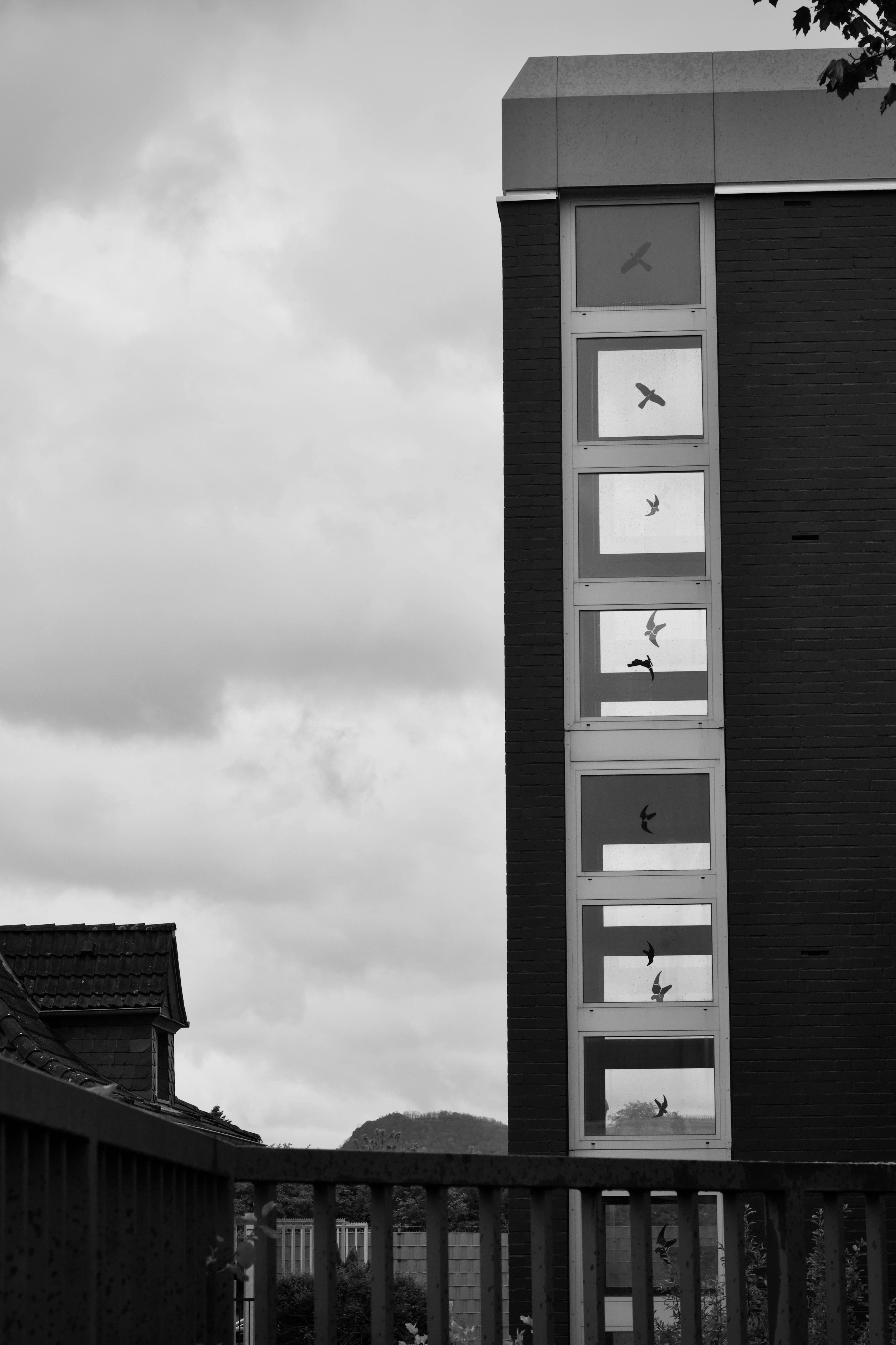 Gratuit Imagine de stoc gratuită din @în aer liber, alb-negru, arhitectură Fotografie de stoc