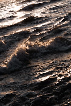 Sunlit ocean waves captured at sunset, showcasing dynamic movement and warm tones.