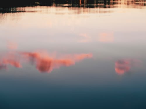 Vibrant blue sky with pink clouds reflecting from calm water surface of lake at sunset