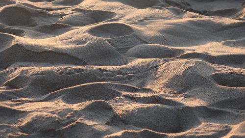 Free Close-up of sand dunes with gentle texture, beautifully lit by the golden evening sun. Stock Photo