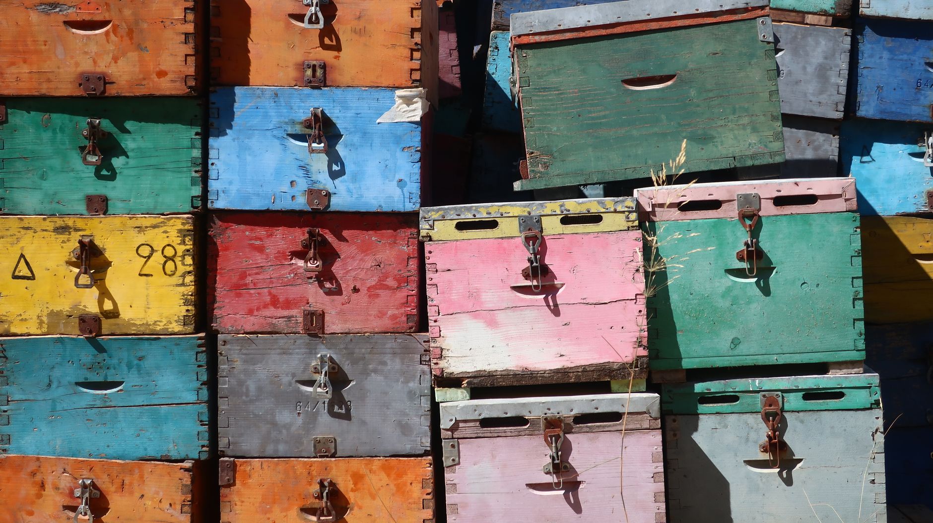 Vibrant wooden beekeeping boxes stacked outdoors, showcasing rustic charm.