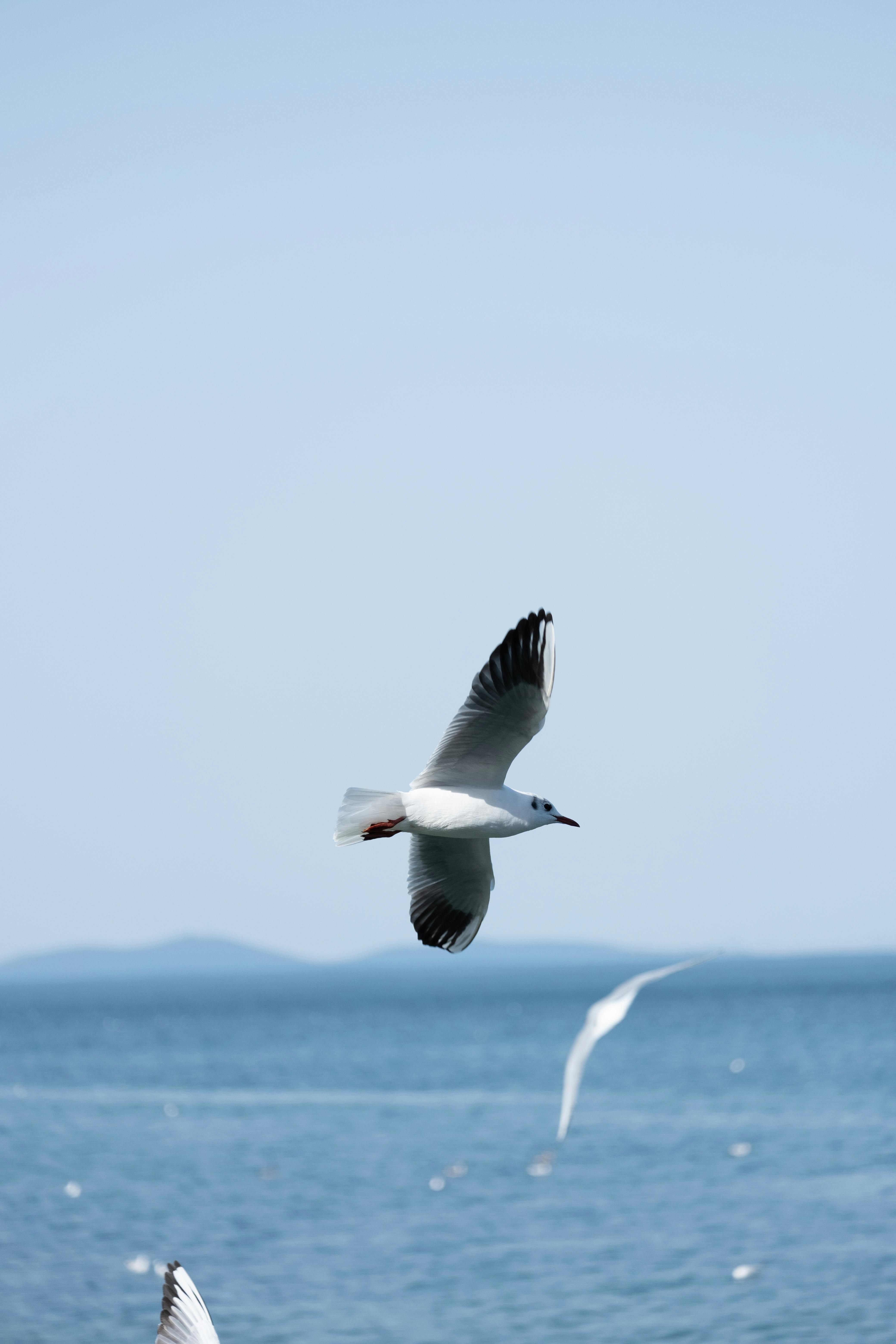 Bezpłatne Darmowe zdjęcie z galerii z azja, cichy, dystans Zdjęcie z galerii