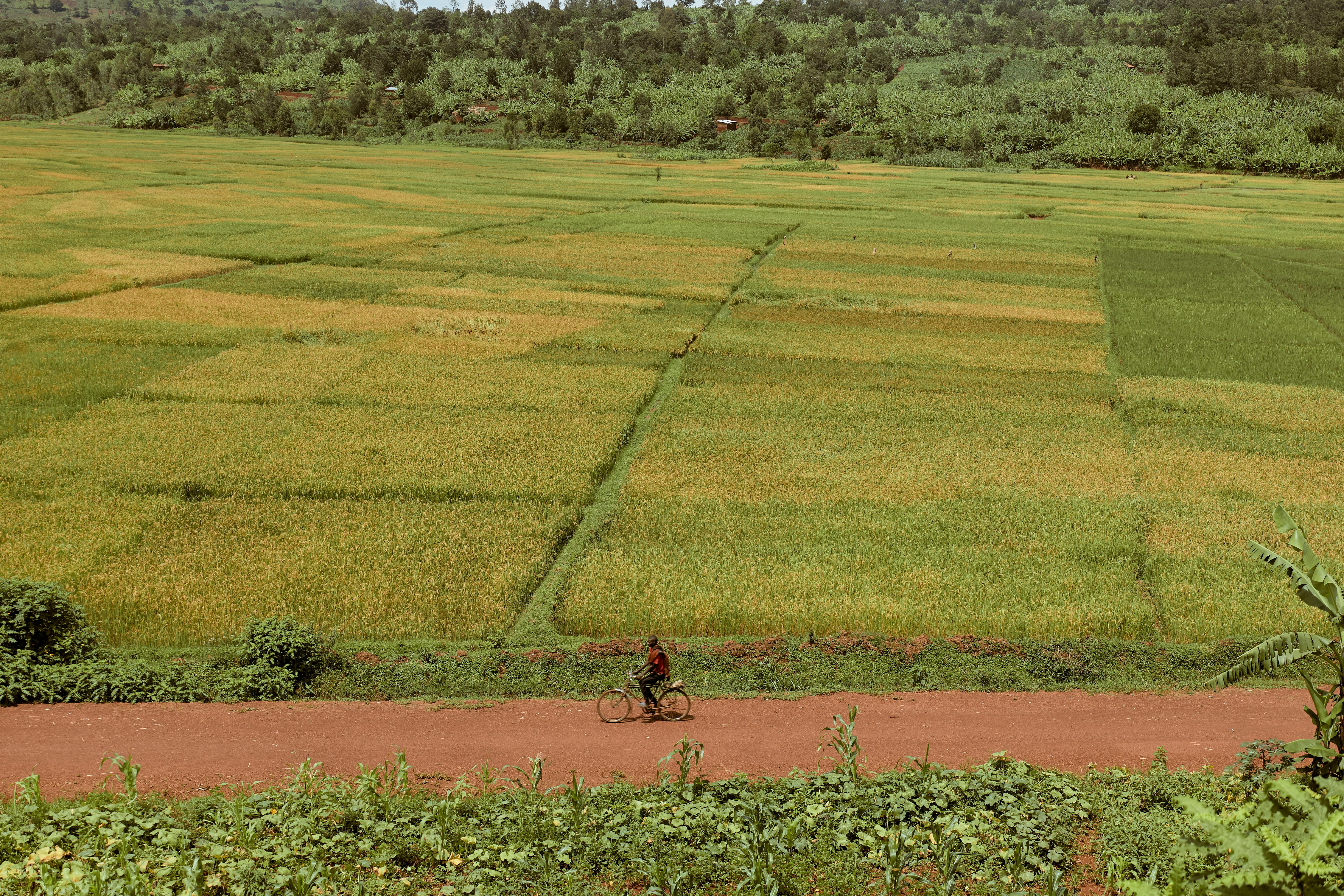 Comparing IMF GDP projections for Africa’s top 10 economies, 2023 vs 2025: key gainers and losers - Business Insider Africa