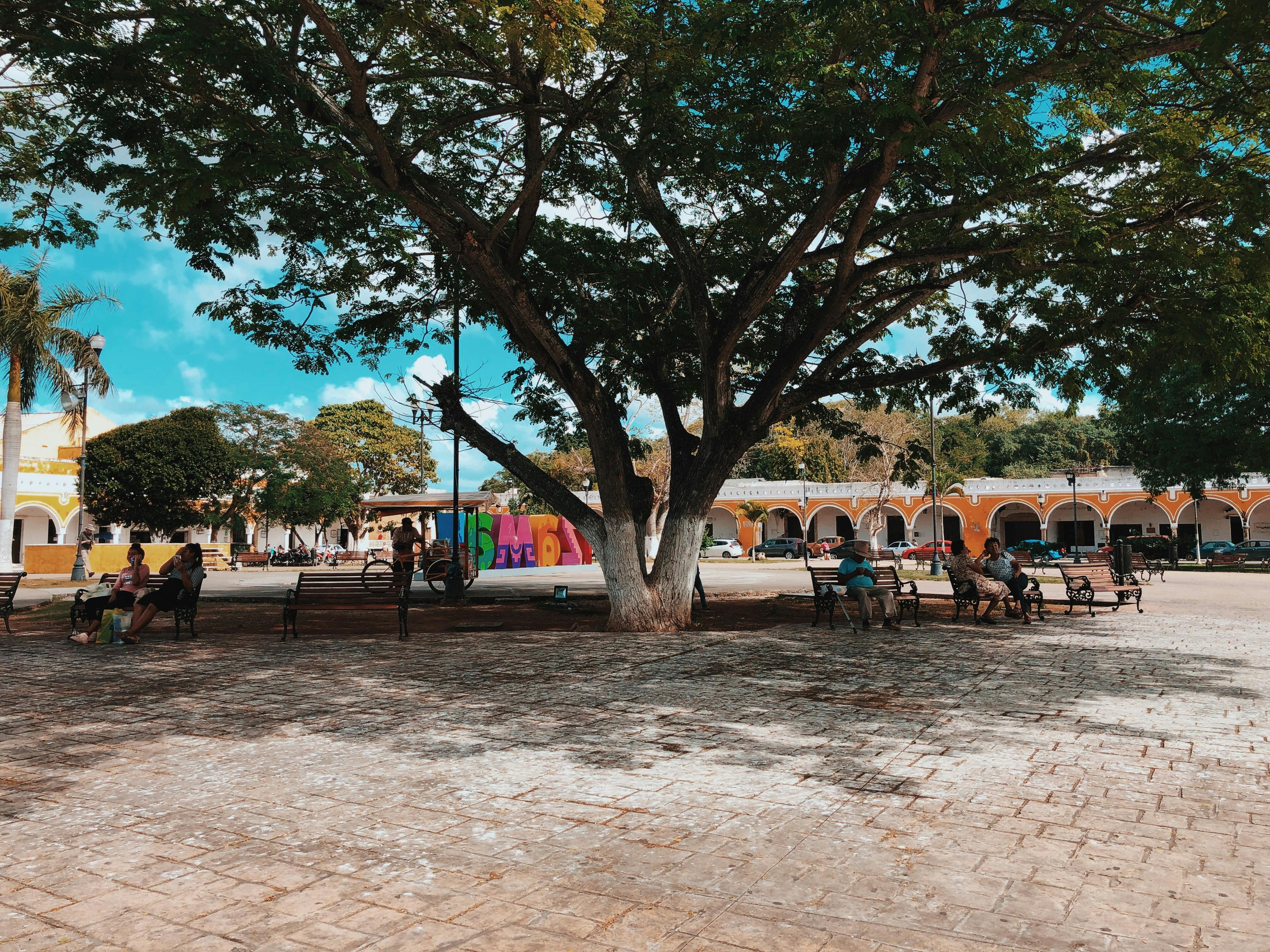 تصفيف الشعر المقطوع