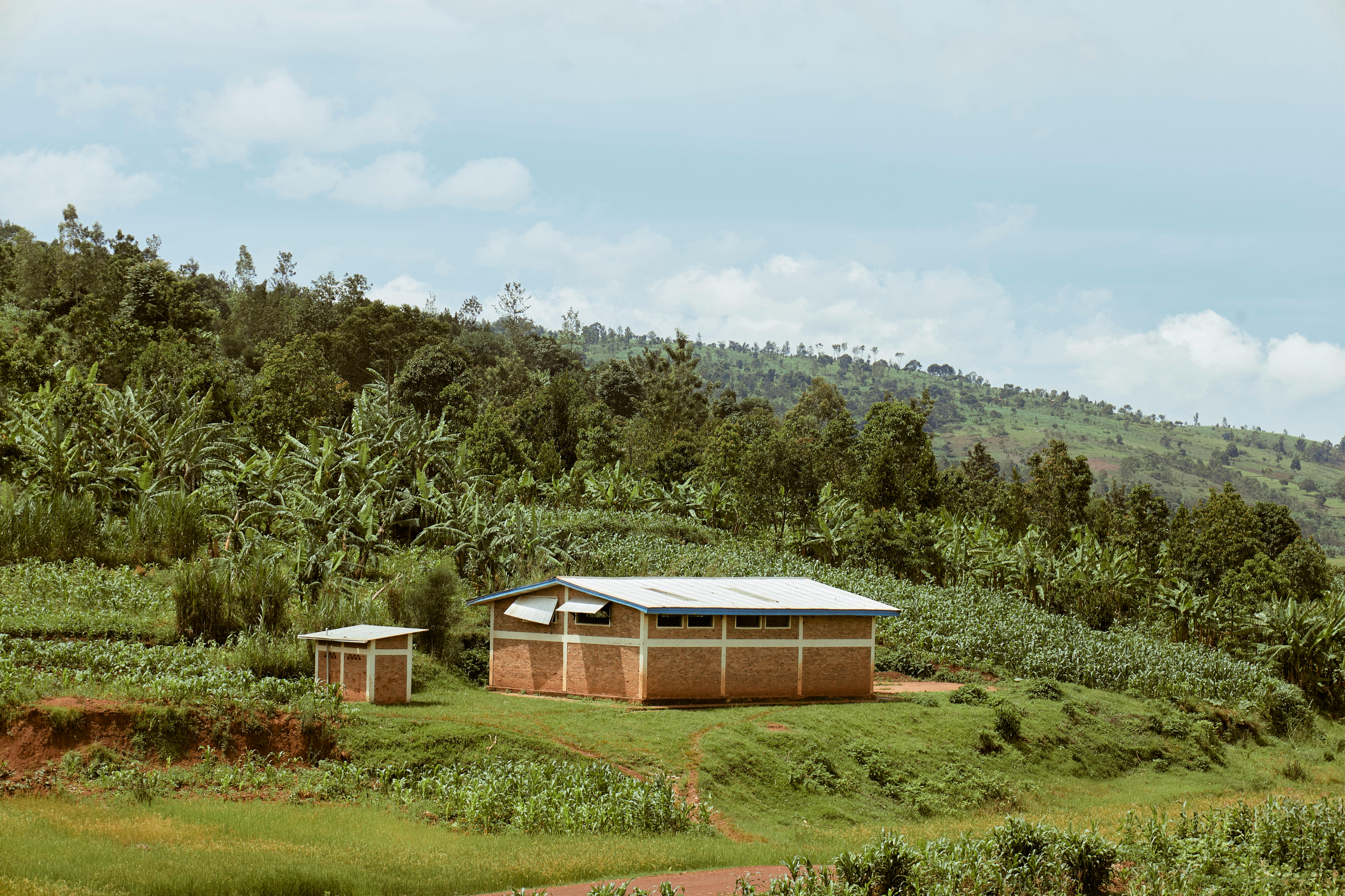 Why Namibia's green energy dream could be a red flag for penguins