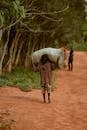 Young Boy Carrying a Heavy Load on a Dirt Path