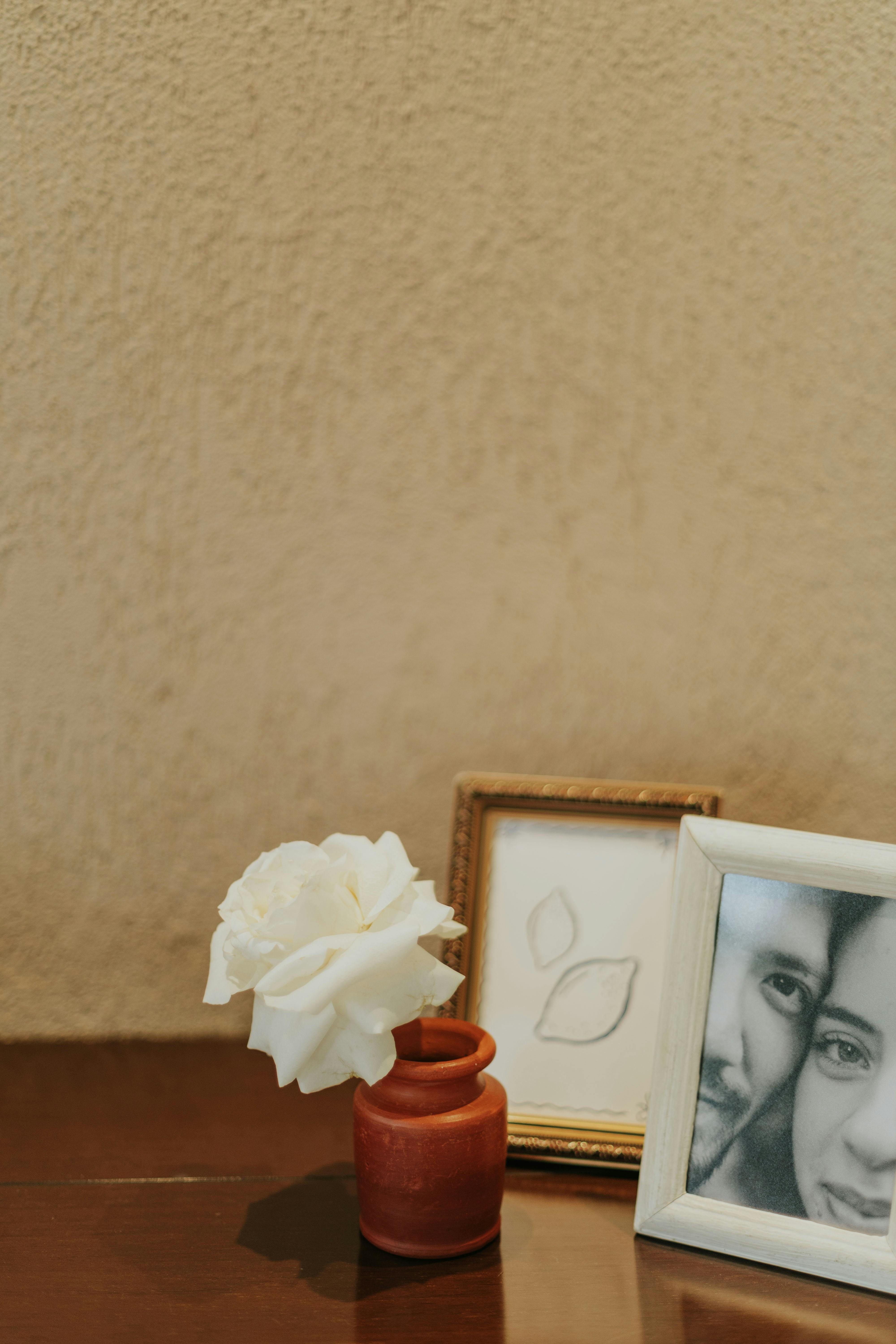 Free Charming still life with a white rose, photo frames, and warm tones. Stock Photo