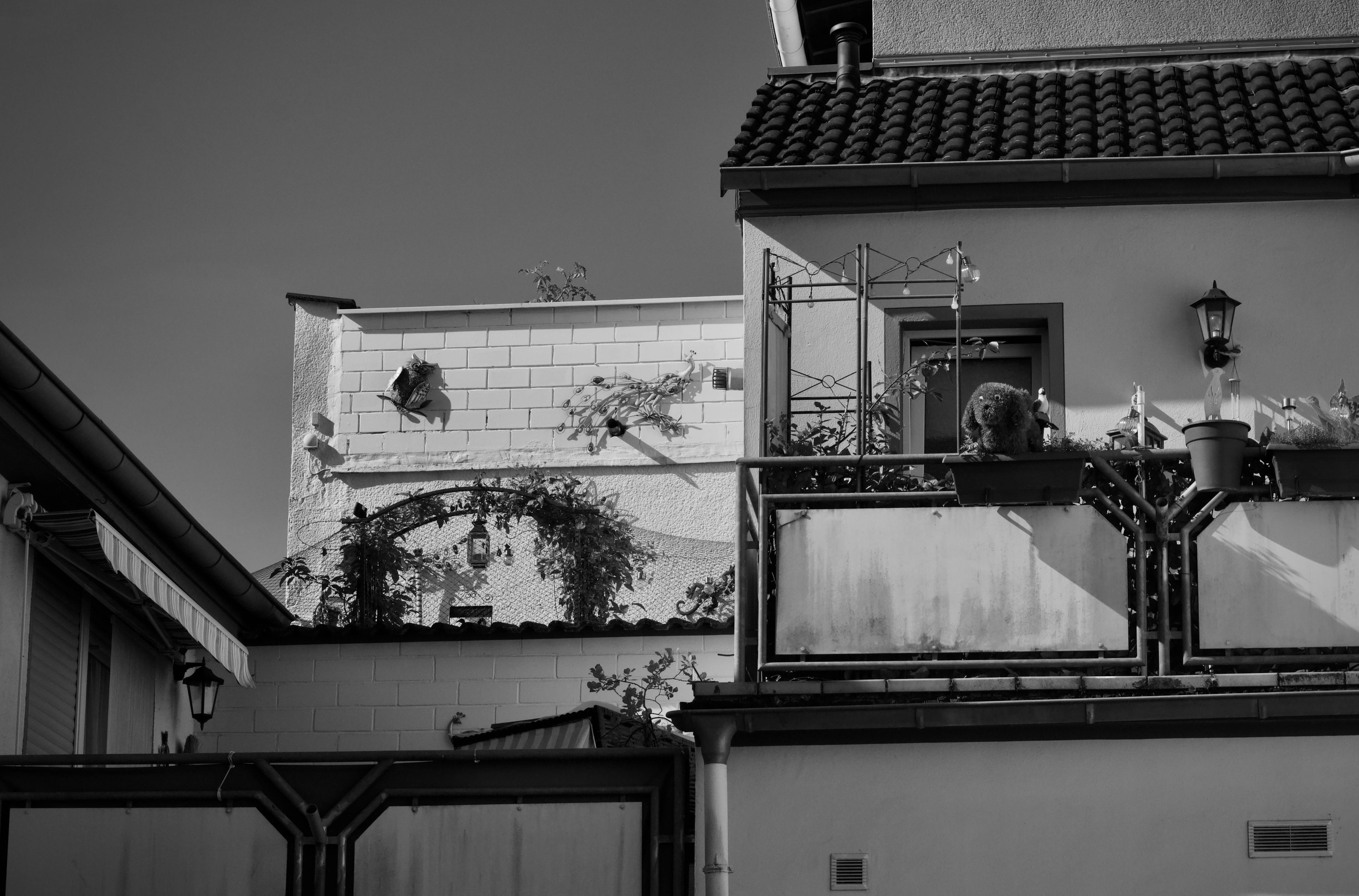 無料 ヴィンテージな建築の魅力と屋外の装飾をとらえた、グレースケールの趣のあるバルコニーの眺め。 写真素材