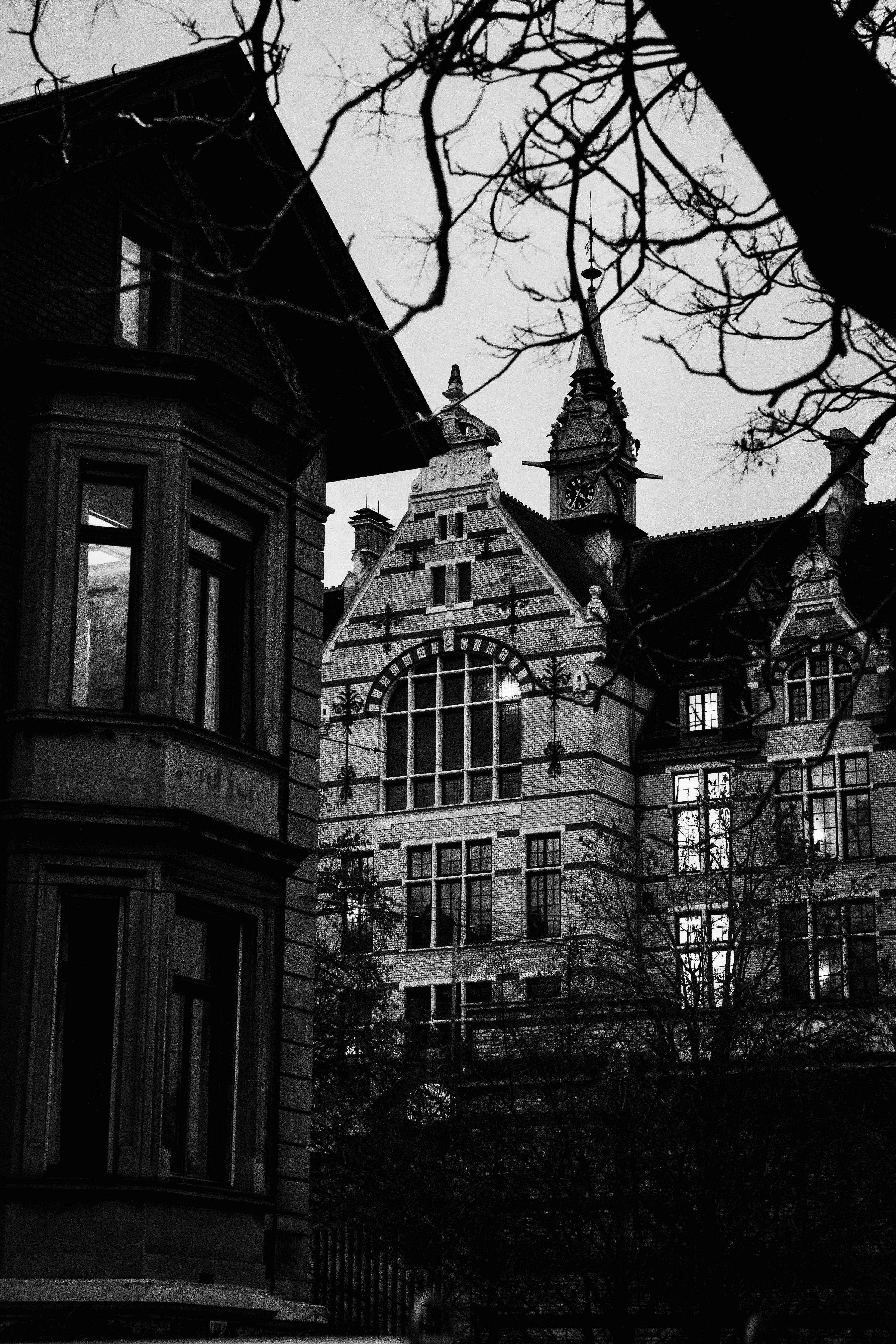 Kostenlos Schwarz-Weiß-Fotografie von gotischen Gebäuden, eingerahmt von Ästen, in Zürich, Schweiz. Stock-Foto