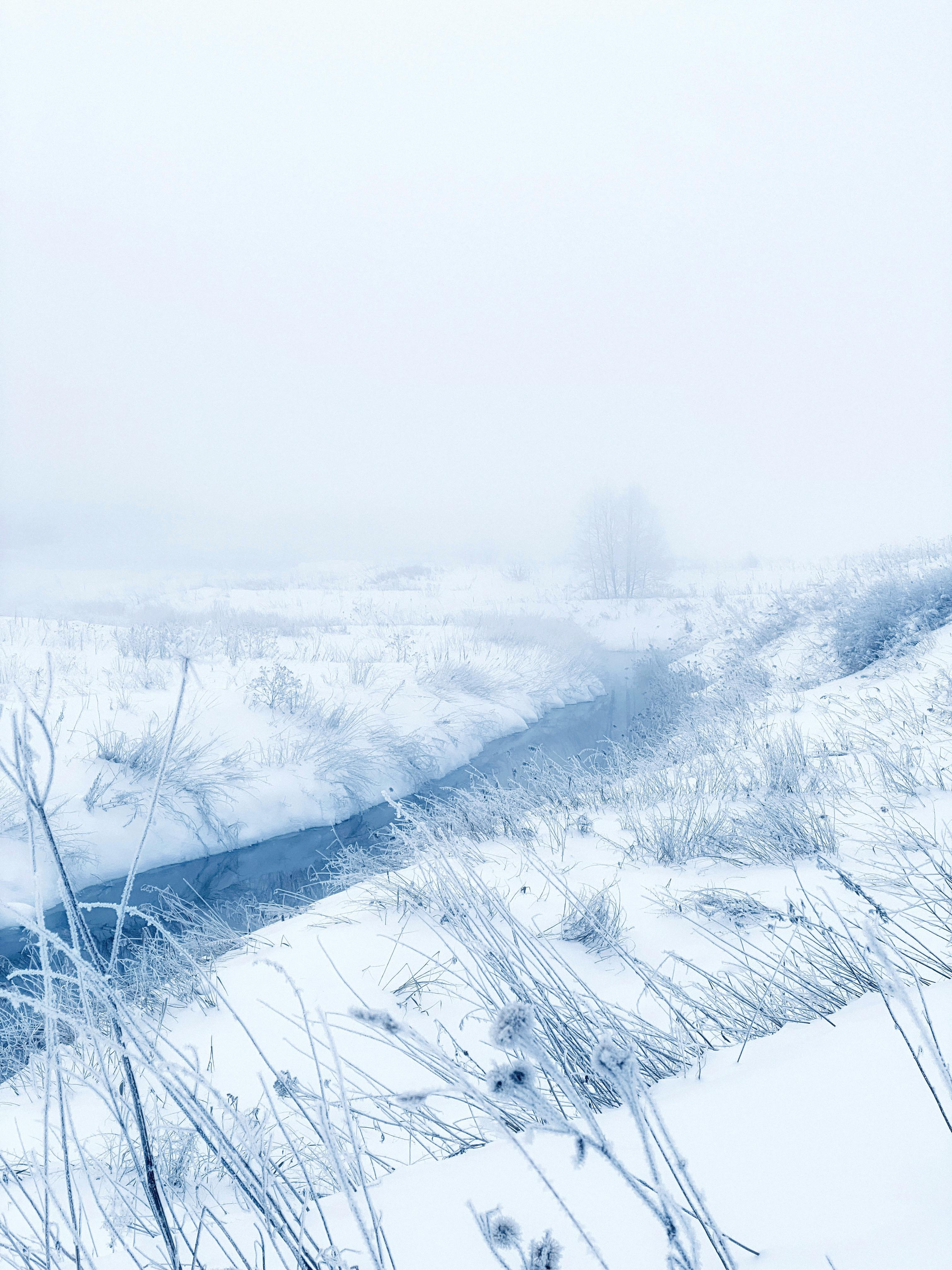 Gratuit Imagine de stoc gratuită din acoperit de zăpadă, alb, armonios Fotografie de stoc