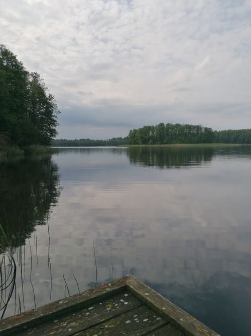 Free Serene lakeside scene with lush trees and wooden dock under a cloudy sky. Stock Photo