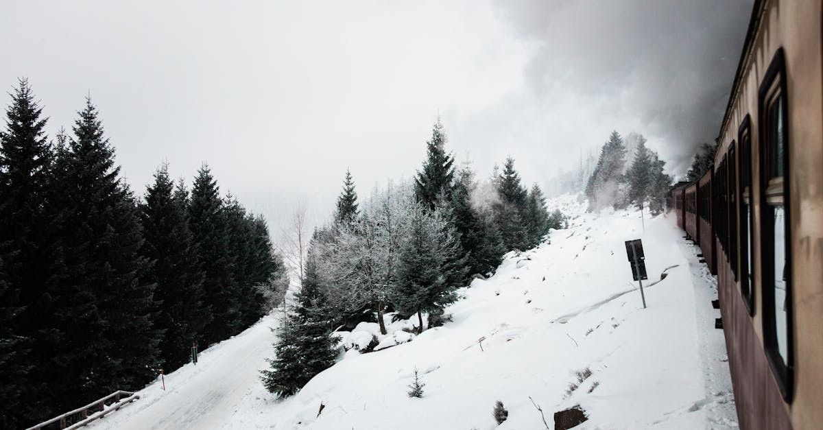 Planifier un voyage en train en Europe : Guide complet