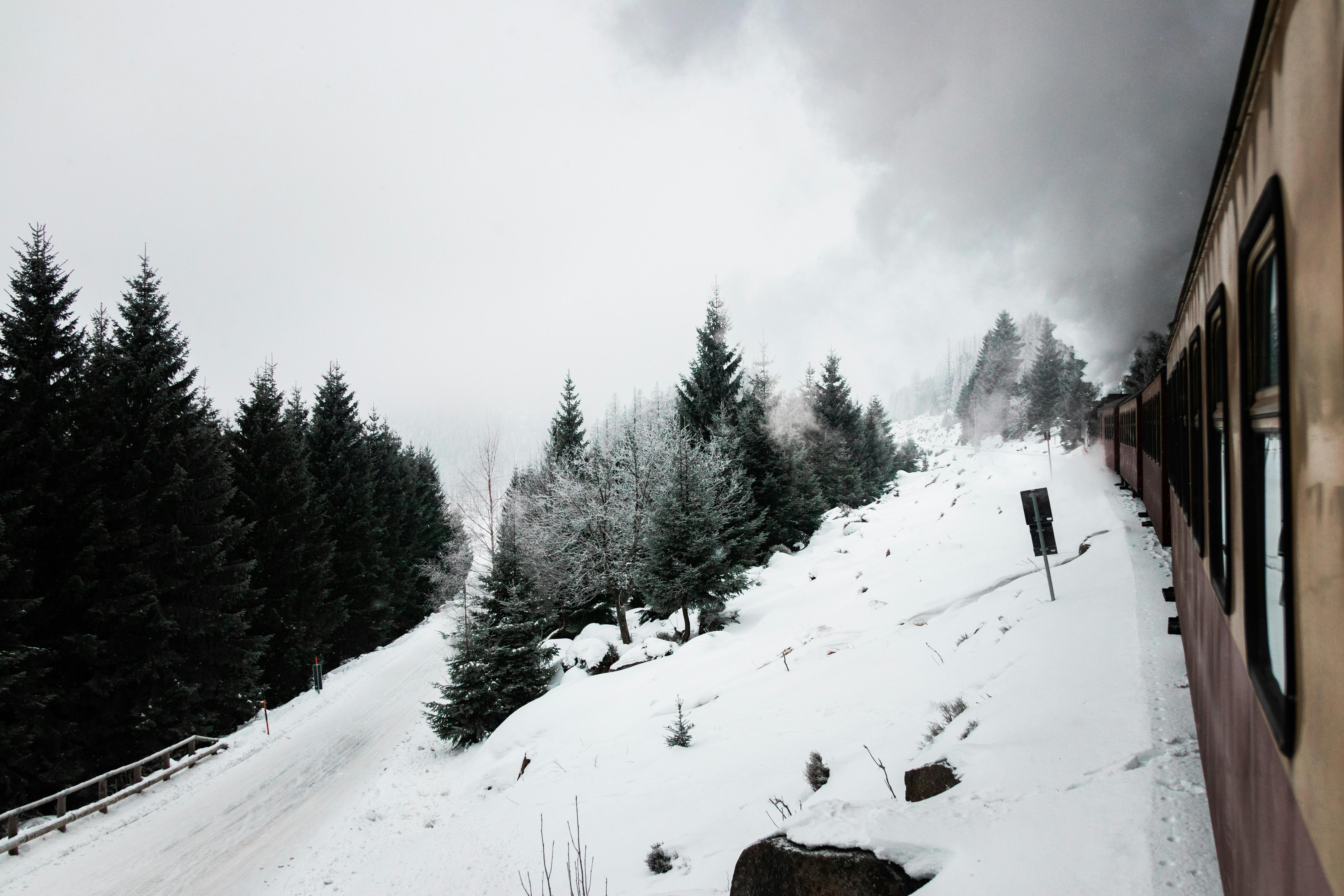 Gratis In inverno il treno attraversa una foresta innevata, offrendo una vista panoramica con pini e un paesaggio innevato. Foto a disposizione