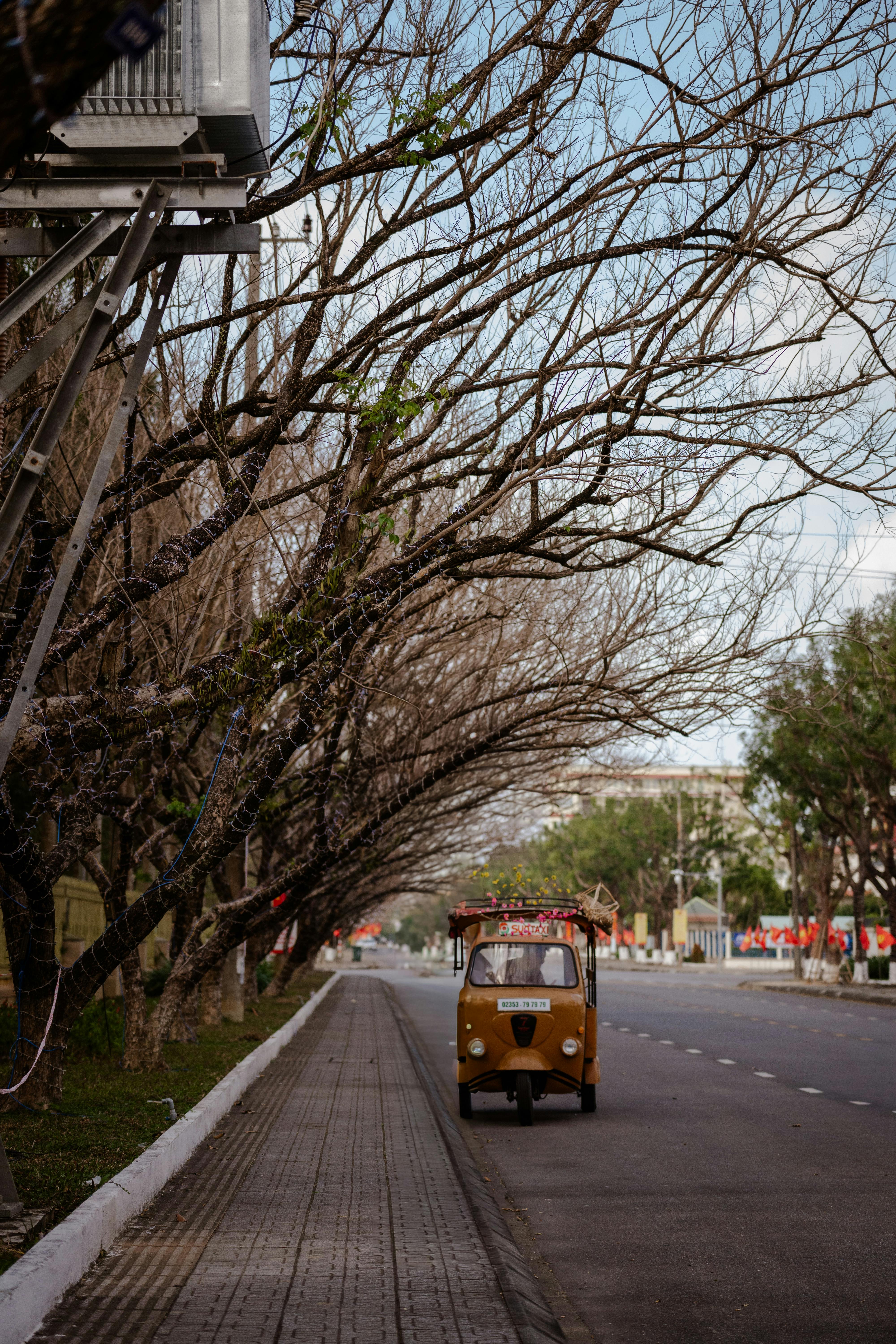 Gratis Sebuah becak antik terparkir di jalan yang tenang yang dipenuhi pepohonan tanpa daun di Tam Kỳ, Vietnam. Foto Stok