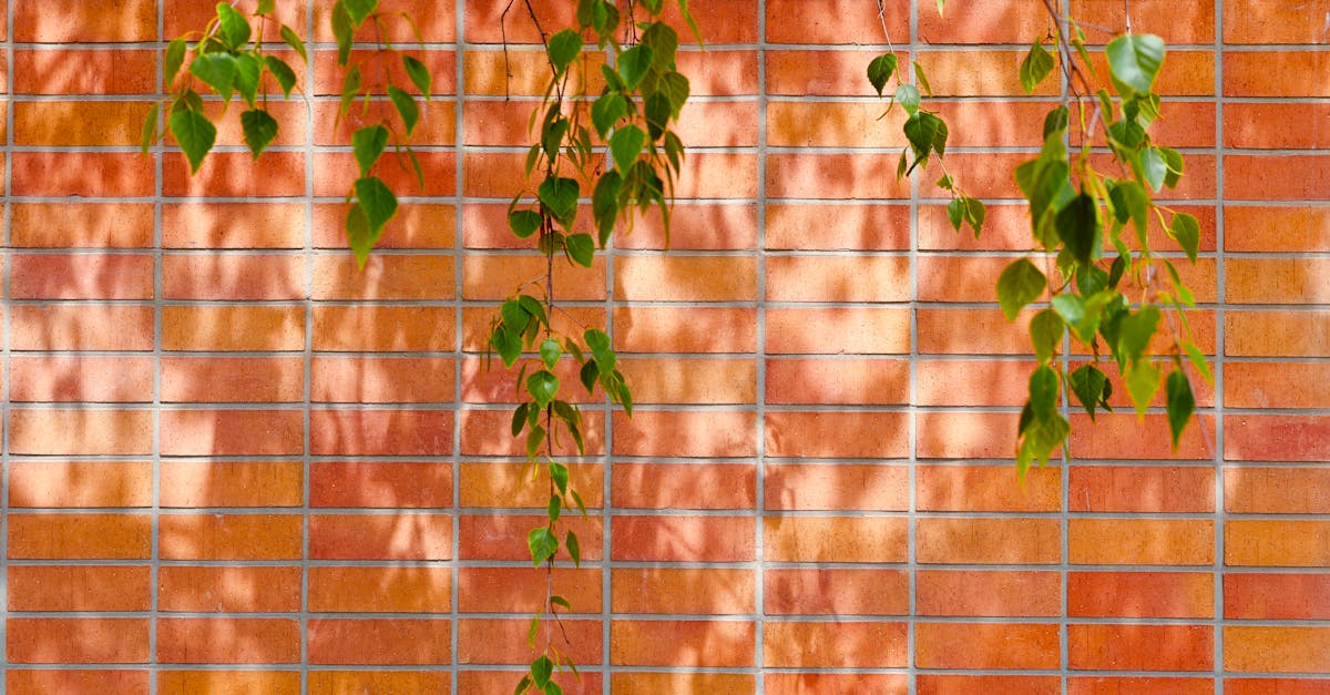 探索竹東的城市生活實驗:從山林到親愛愛樂的轉變