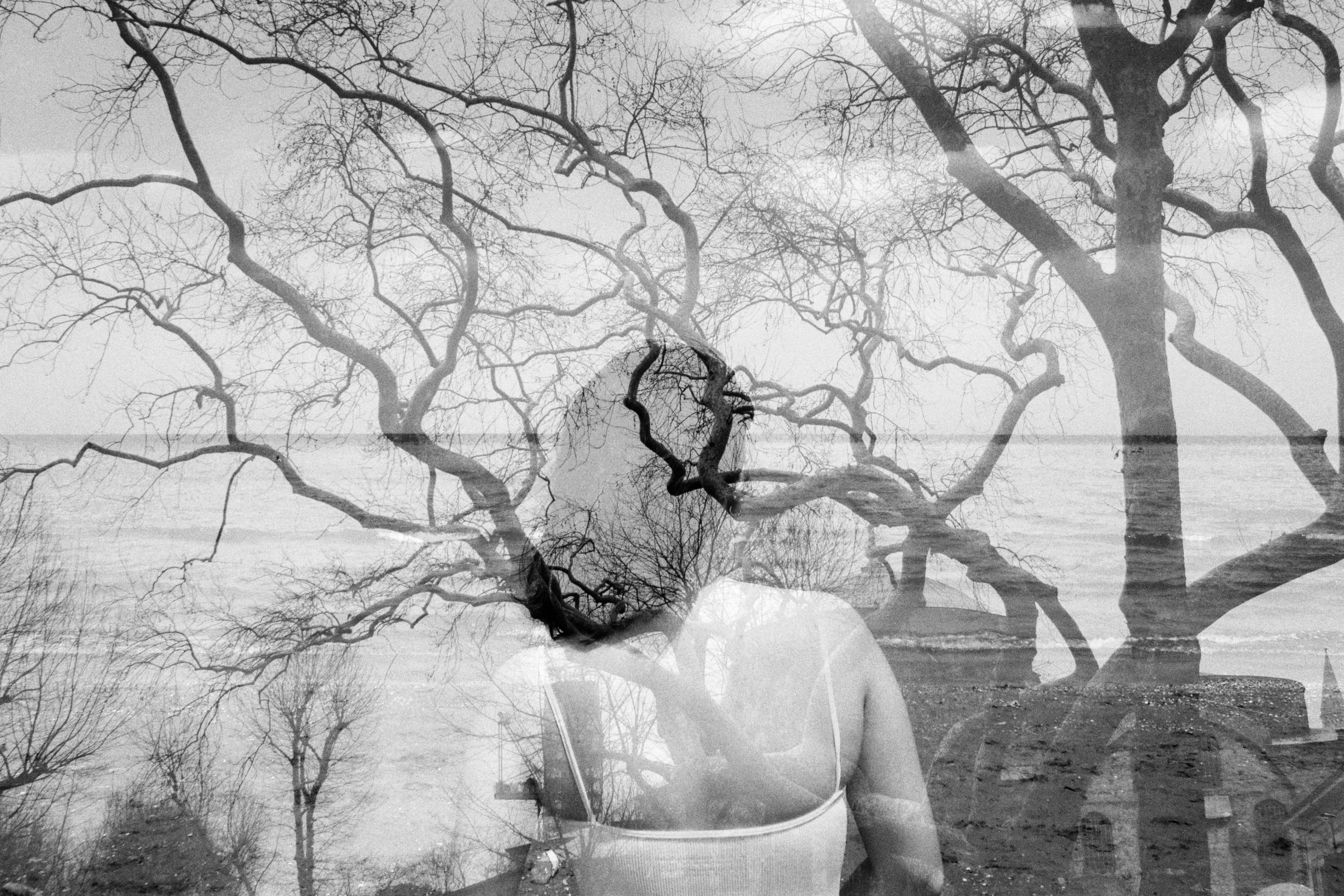 Δωρεάν Η ασπρόμαυρη διπλή έκθεση της σιλουέτας μιας γυναίκας συγχωνεύτηκε με μια σκηνή δάσους, δημιουργώντας ένα καλλιτεχνικό εφέ. Φωτογραφία από στοκ φωτογραφιών