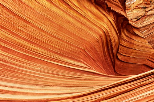 Free The Wave- Marble Canyon, Arizona Stock Photo