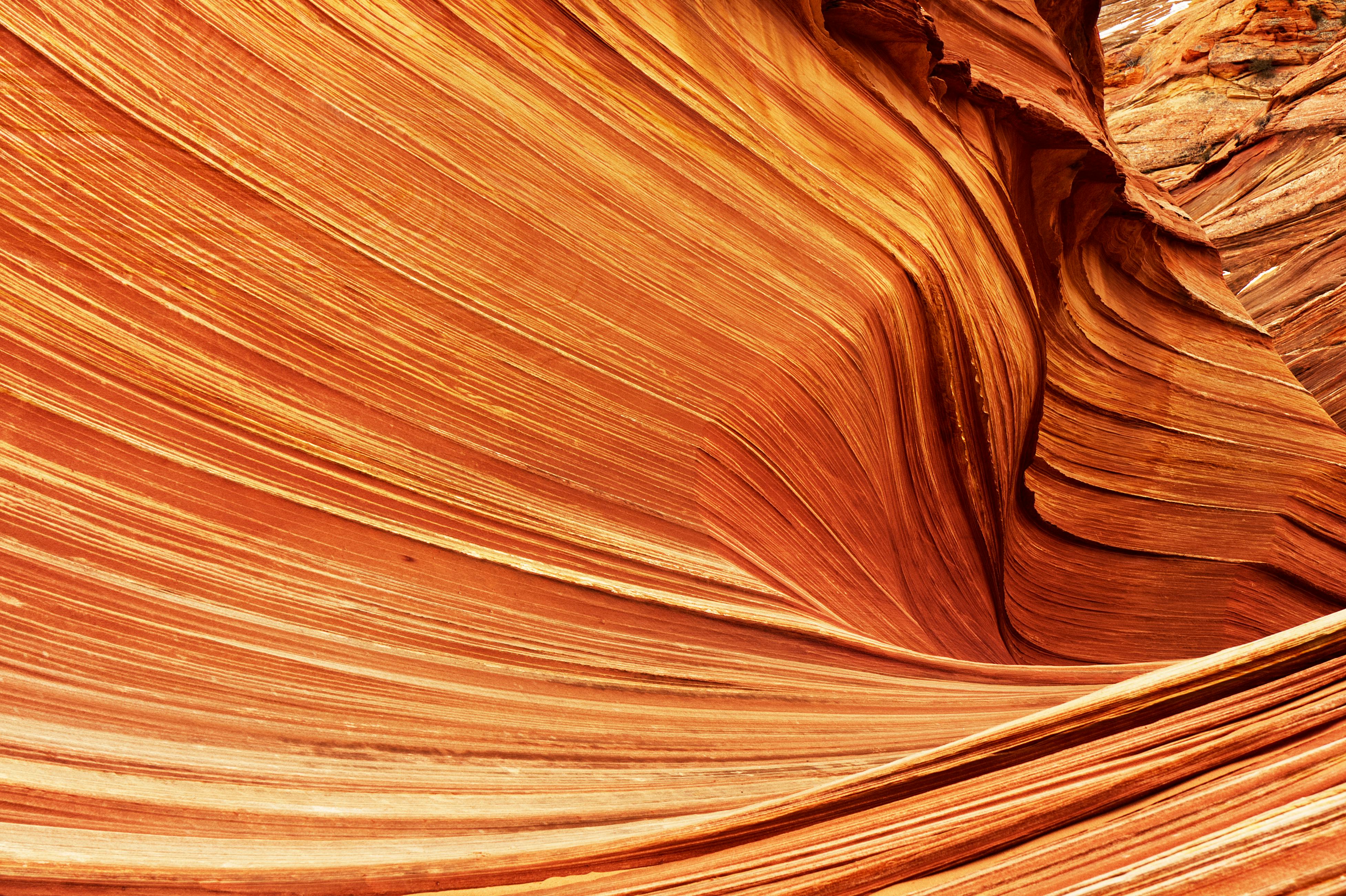 The Wave Marble Canyon, Arizona · Free Stock Photo