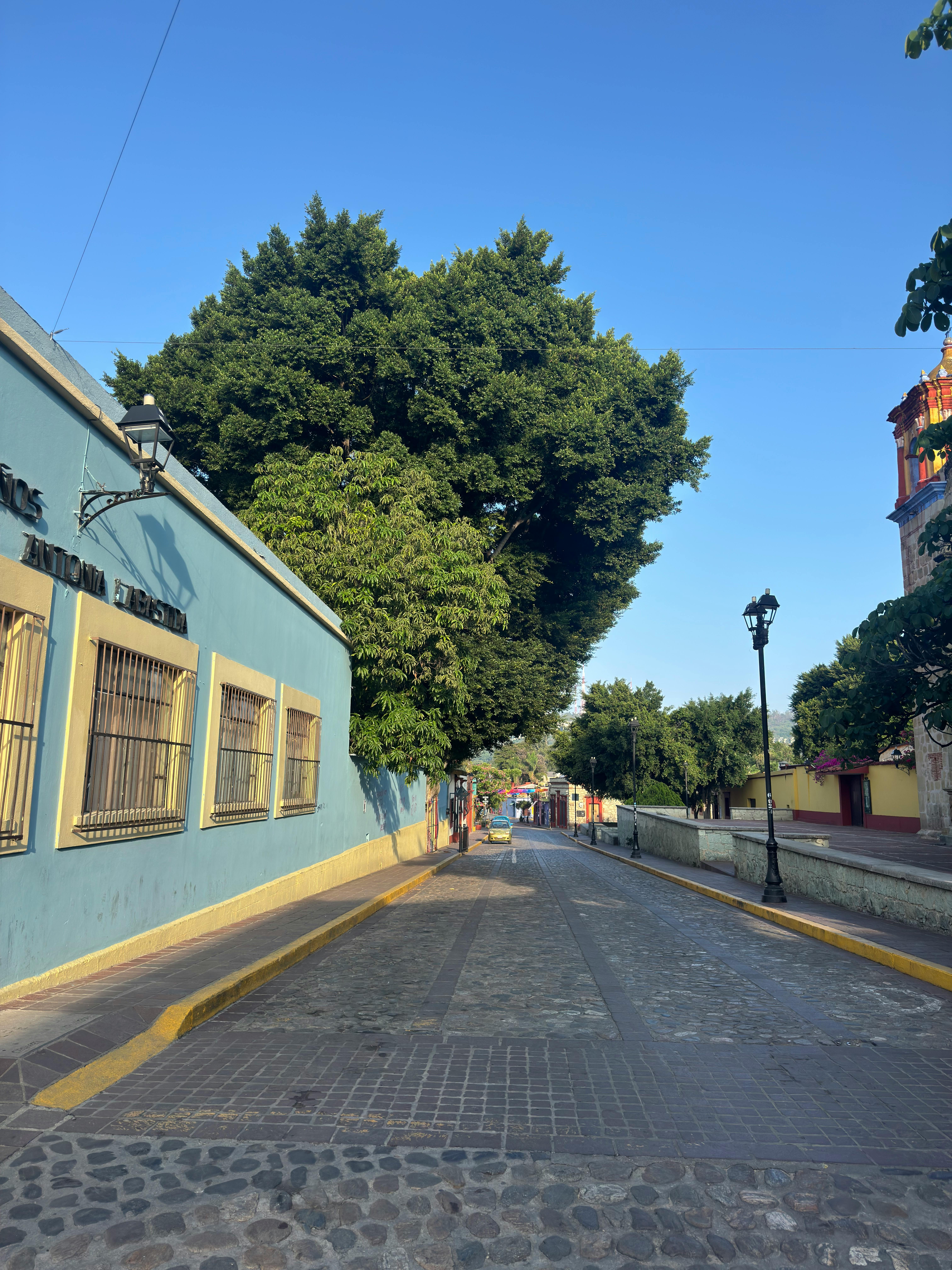 Gratis Pemandangan menakjubkan dari jalan yang tenang di Oaxaca de Juárez yang menampilkan bangunan-bangunan berwarna-warni dan tanaman hijau yang rimbun. Foto Stok