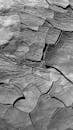 一张详细的黑白特写展示了亚利桑那州干旱景观的纹理：破裂、干燥的土地
