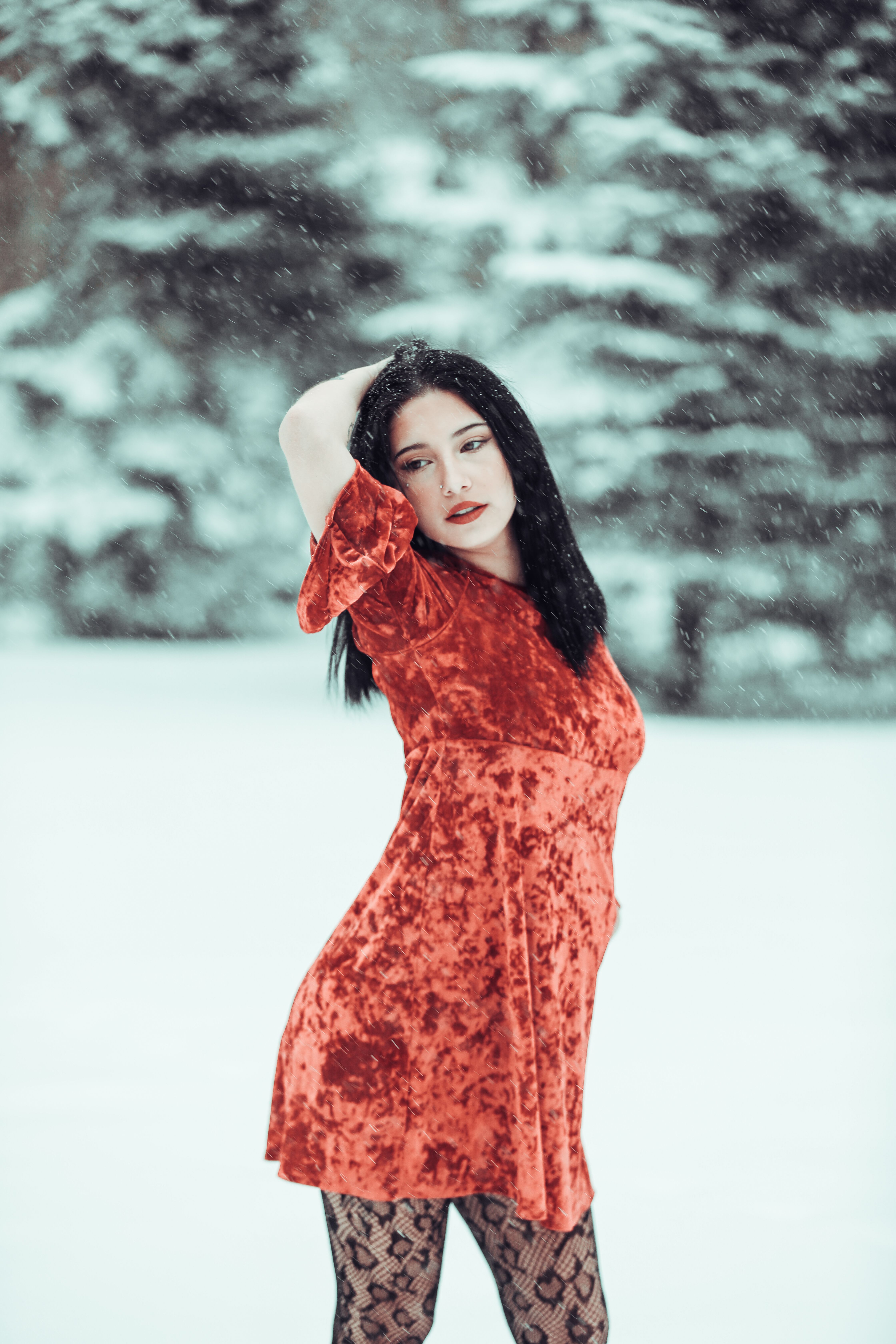 Woman in Red Velvet Dress Posing in Snowy Forest · Free Stock Photo