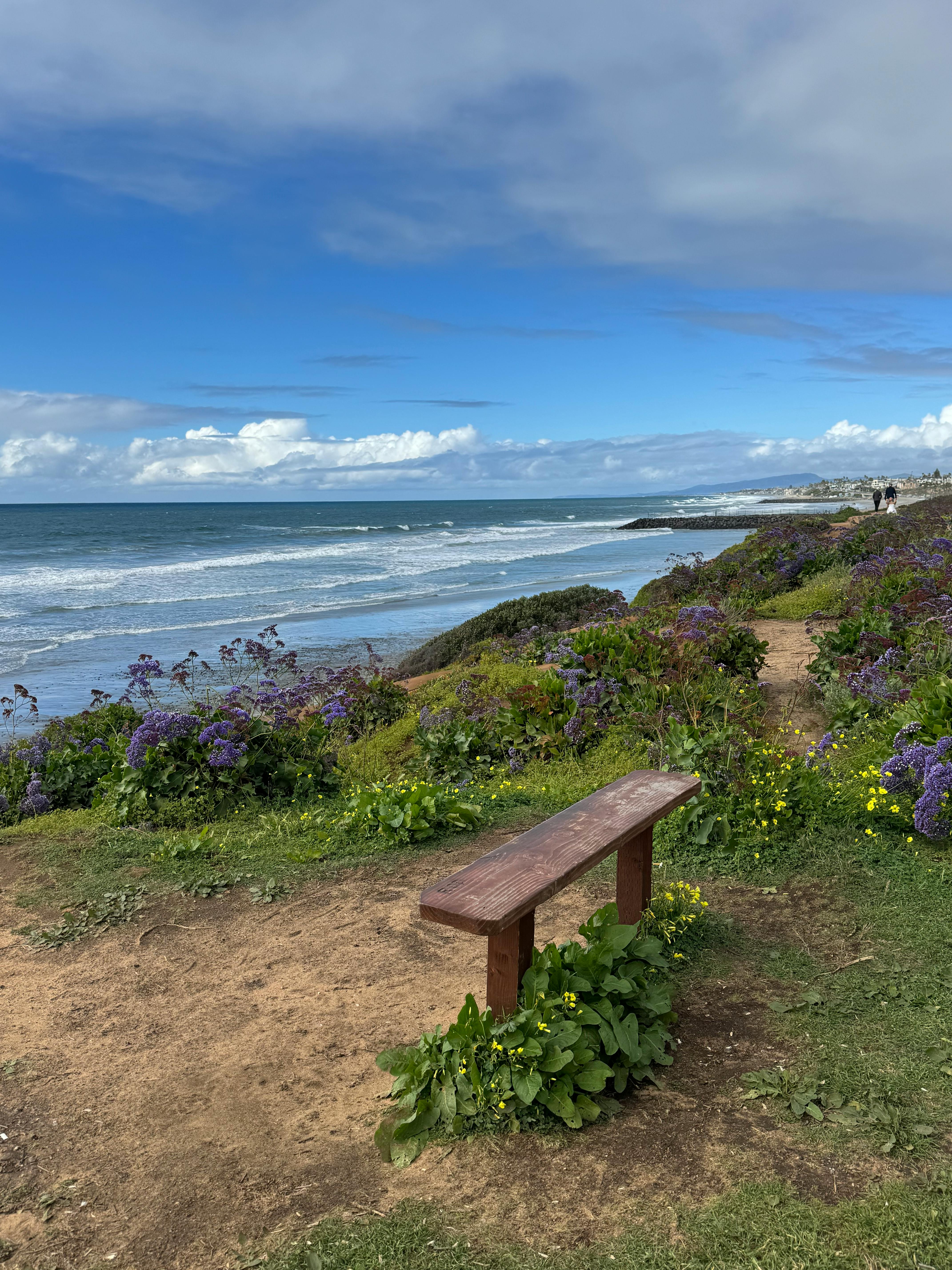A tranquil ocean view with a wooden bench at Carlsbad, surrounded by vibrant flowers and clear skies.