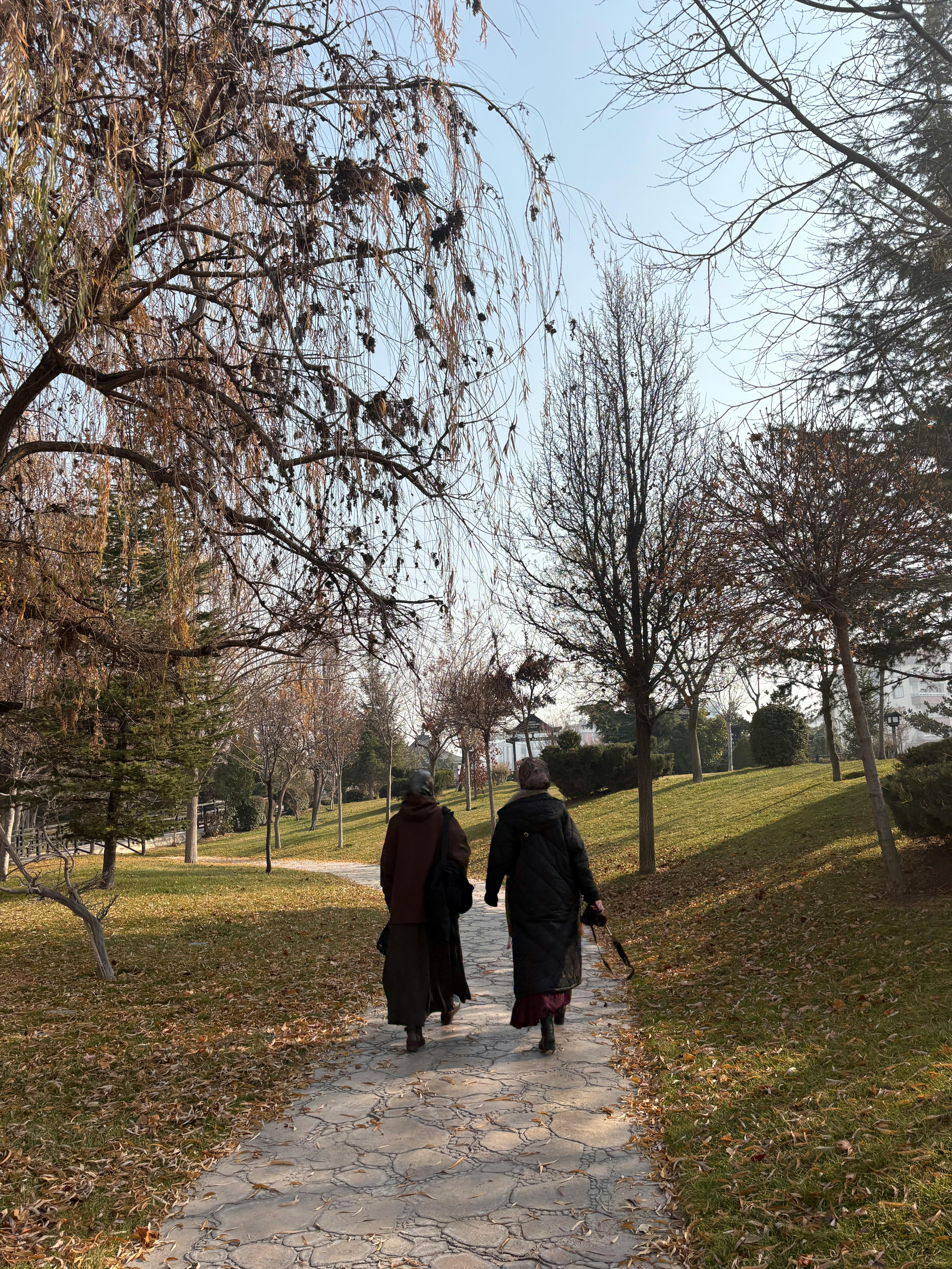 Gratis Foto stok gratis aktivitas di luar ruangan, alam, anatolia tengah Foto Stok