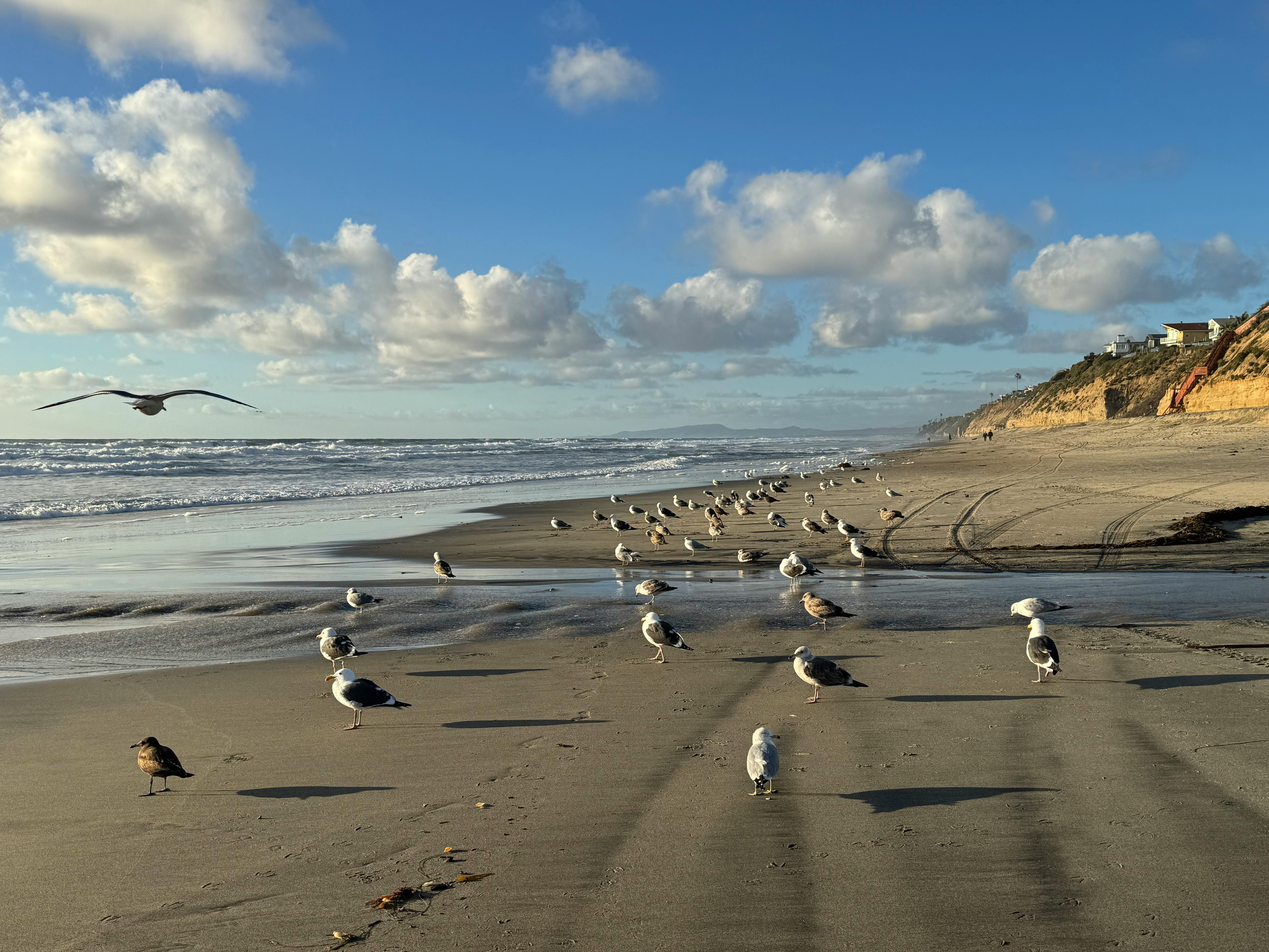 Proposed changes to Encinitas vacation rental regulations stall - San Diego Union-Tribune — Photo by Petra Nesti on Pexels