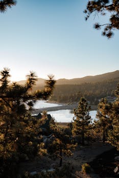 A tranquil mountain lake at sunrise framed by pine trees, offering a scenic nature view.