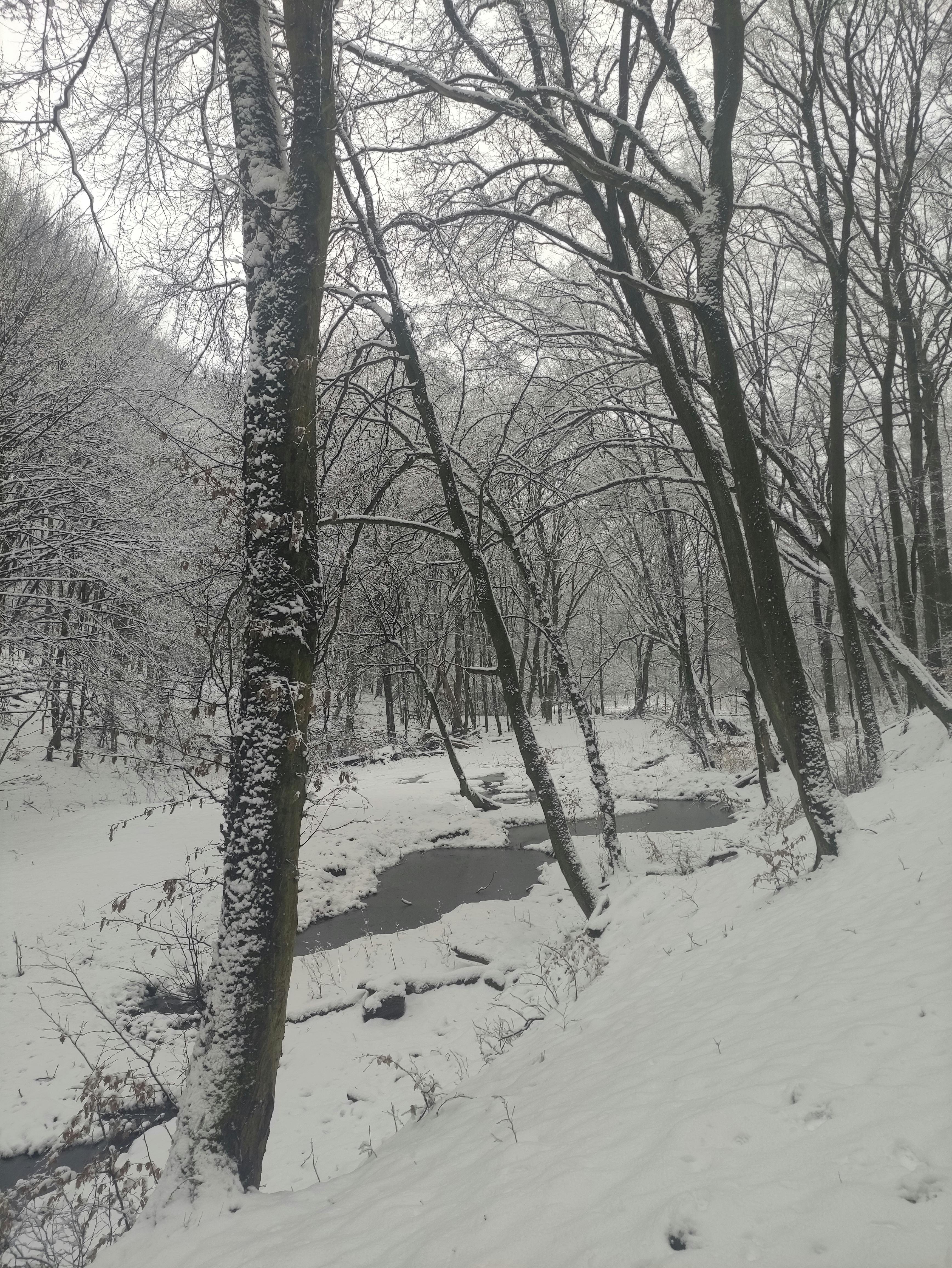 Gratis Foto stok gratis alam, alam liar, aliran Foto Stok