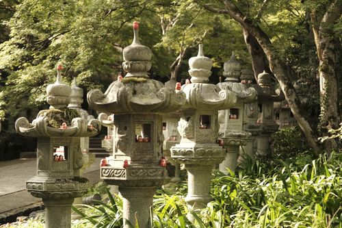 Free Serene forest scene featuring traditional Japanese stone lanterns amidst lush greenery. Stock Photo