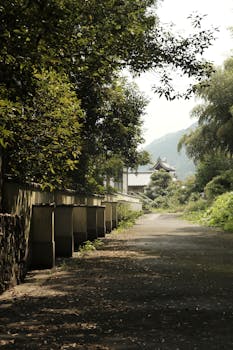 Peaceful shaded pathway leading to a traditional Japanese building amidst lush greenery in summer.