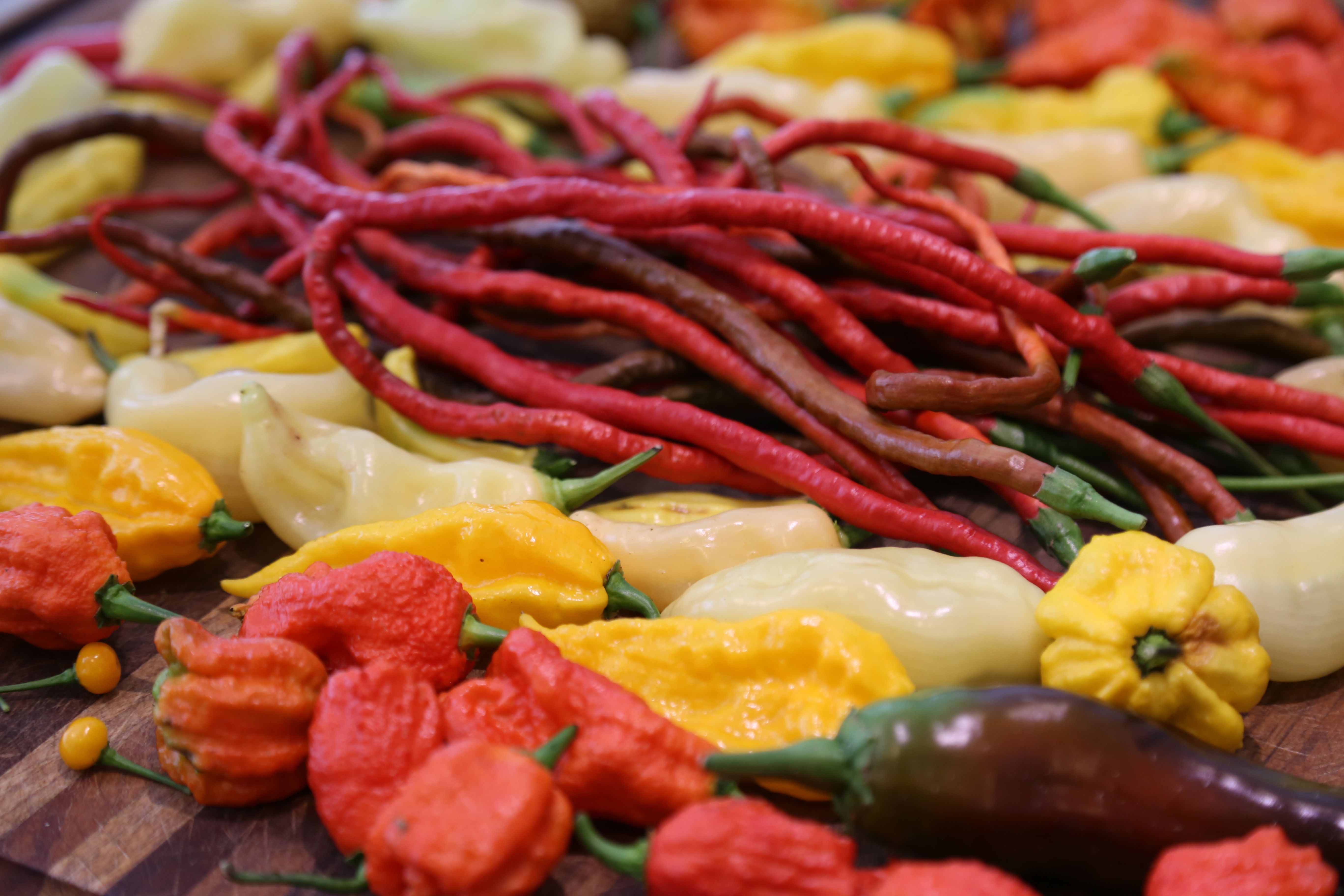A colorful assortment of fresh peppers showcasing diverse shapes and colors in a vibrant display.
