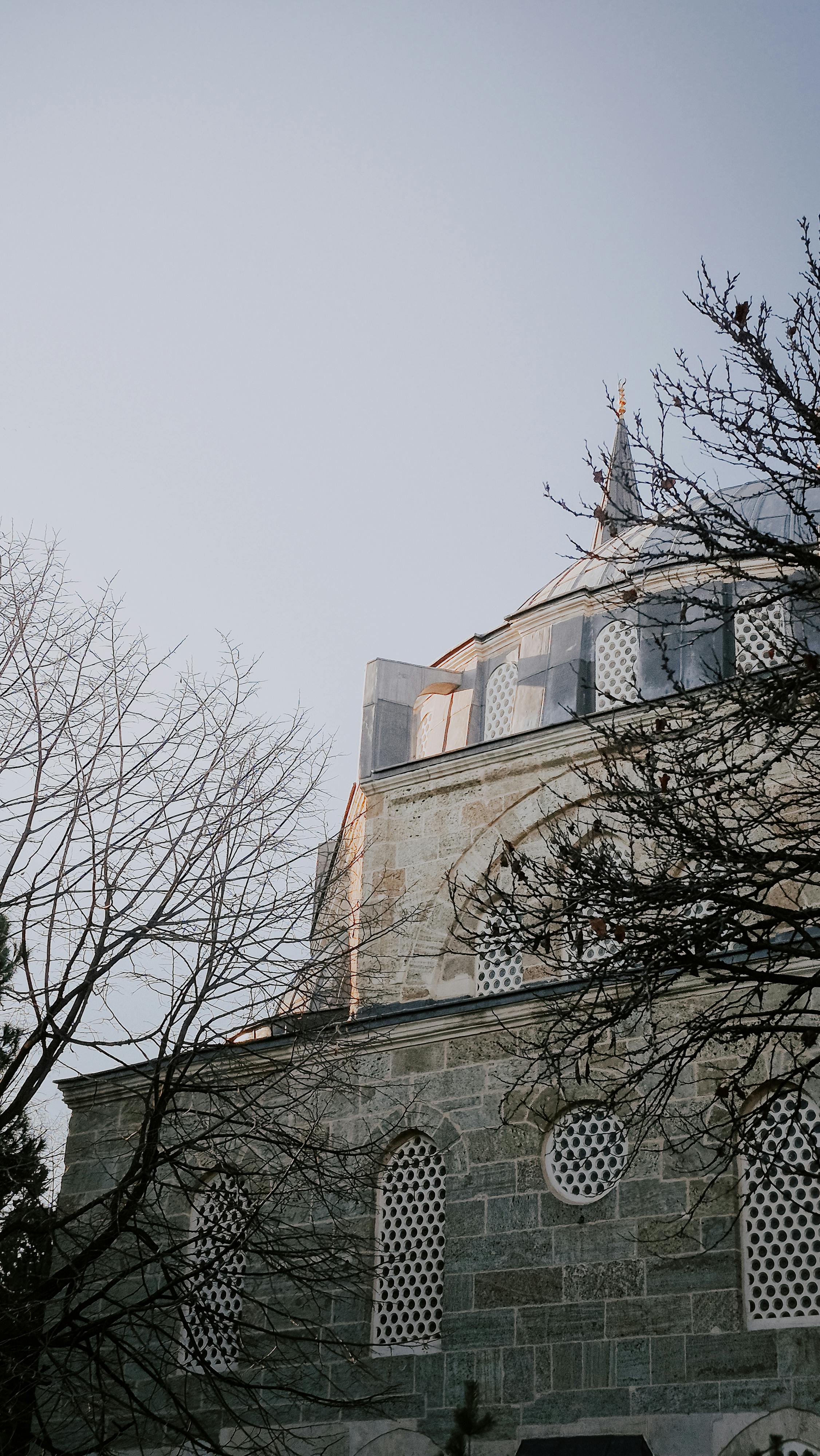 Gratis En historisk steinbygning med kuppel, fotografert på en klar vinterdag med nakne trær i forgrunnen. Arkivbilde