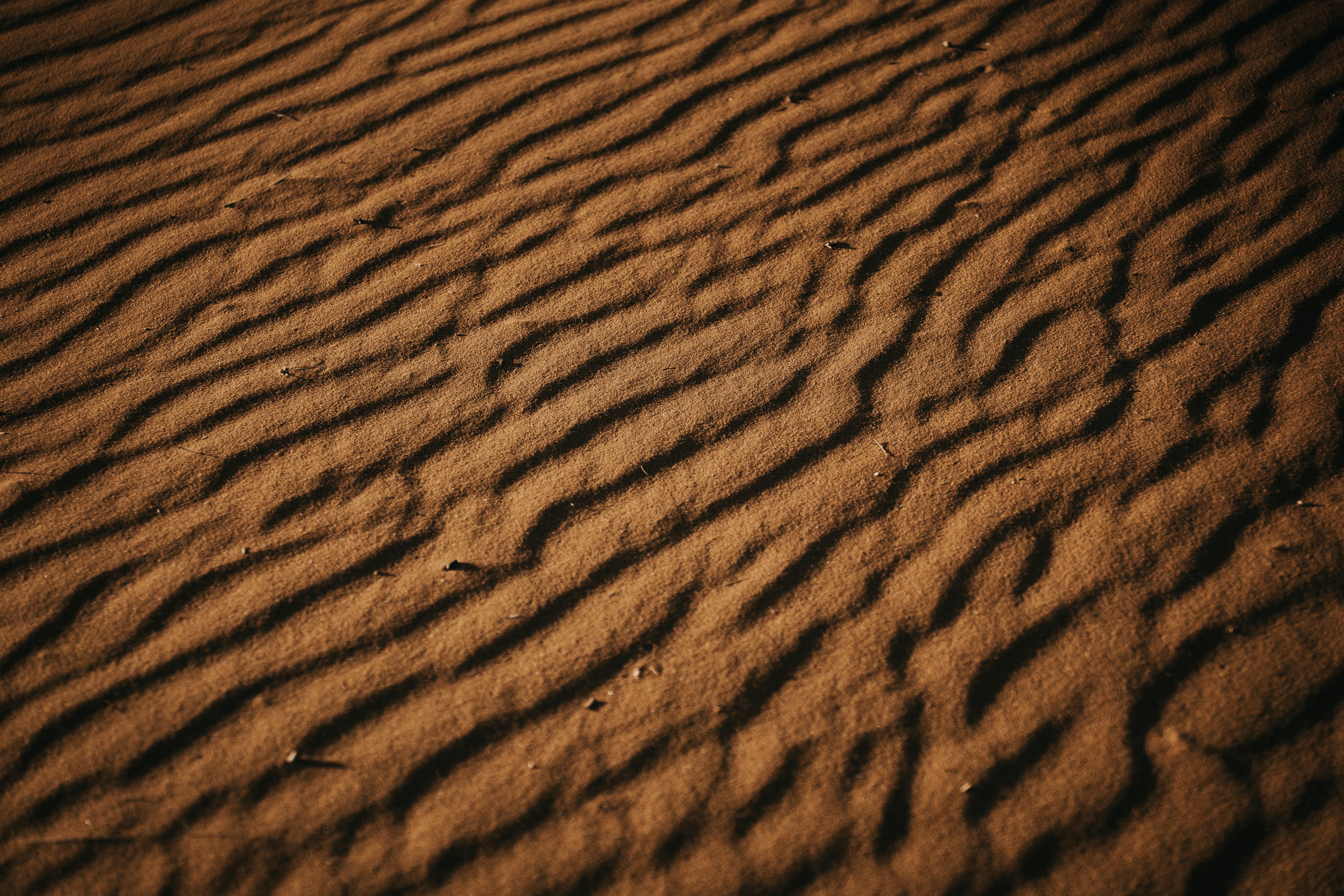Ücretsiz açık hava, altın ışık, çevre içeren Ücretsiz stok fotoğraf Stok Fotoğraflar
