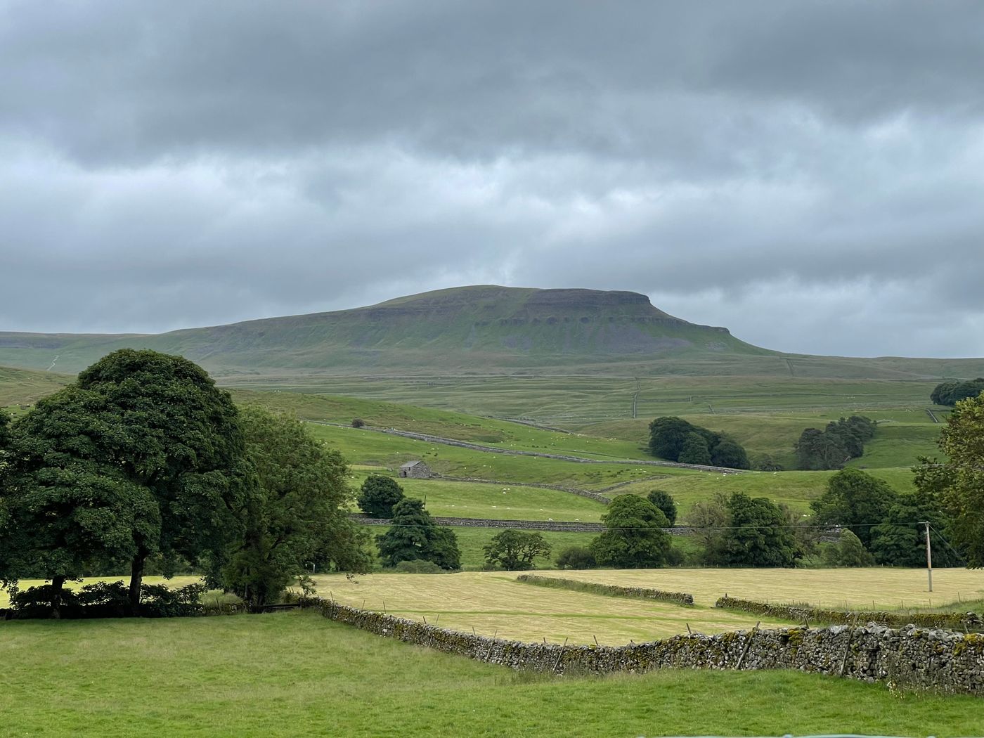 Stone walls and green fields beneath Whernside in the Yorkshire Dales