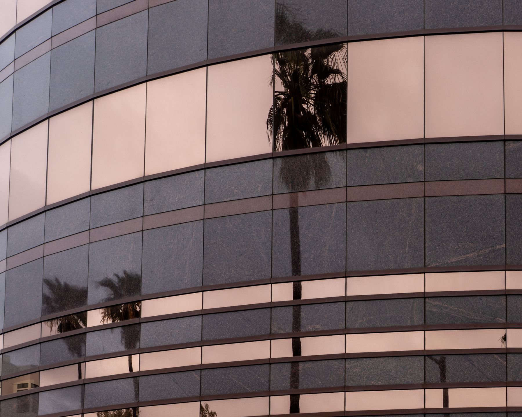 Palm trees reflected in a contemporary glass building in Los Angeles