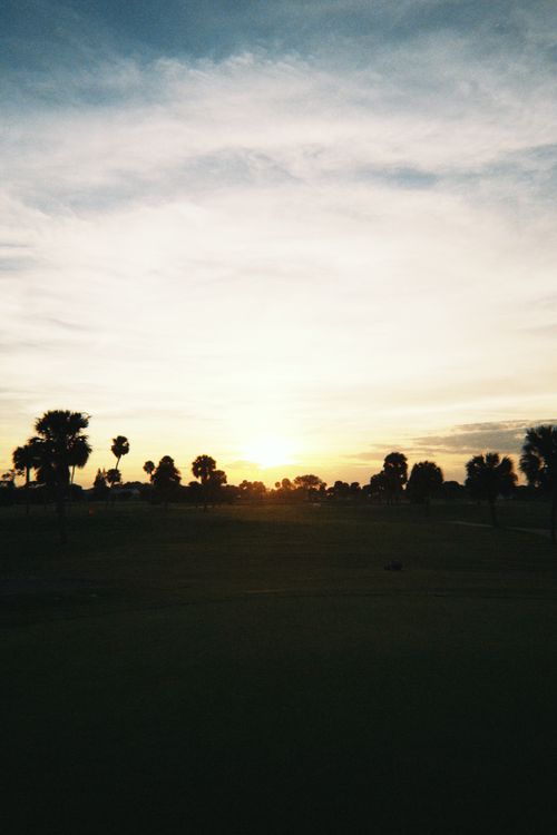 Free Captivating sunset with silhouetted palm trees in a serene open landscape. Stock Photo