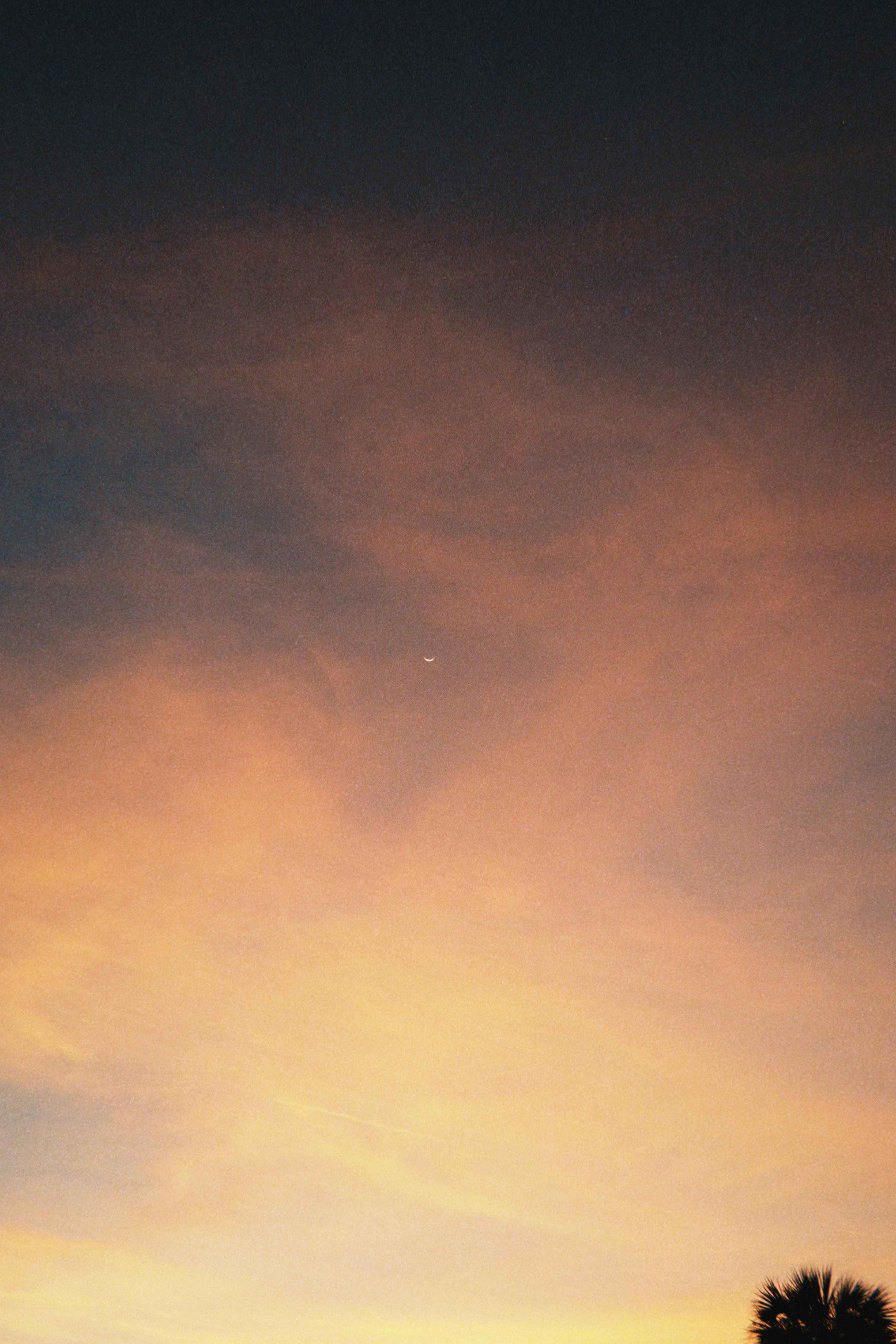 Gratis Cielo colorido al atardecer con nubes sutiles y una palmera recortada al anochecer. Foto de stock