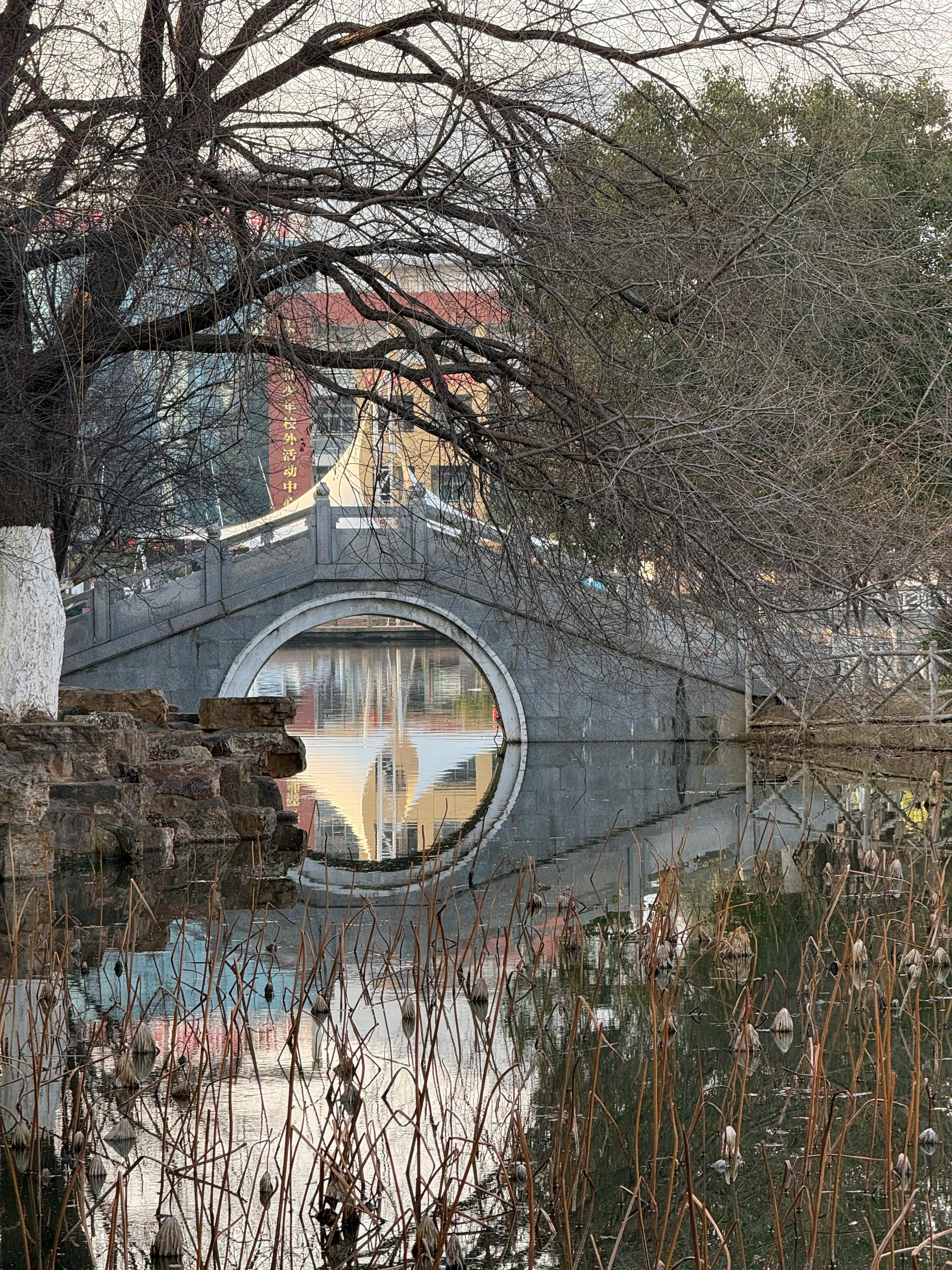 Δωρεάν Μια γαλήνια σκηνή μιας παραδοσιακής τοξωτής πέτρινης γέφυρας που αντανακλάται σε μια λίμνη μέσα σε έναν κινέζικο κήπο. Φωτογραφία από στοκ φωτογραφιών
