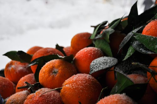 Free stock photo of abundance, agriculture, citrus fruit