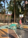 Outdoor Basketball Court with Palm Trees