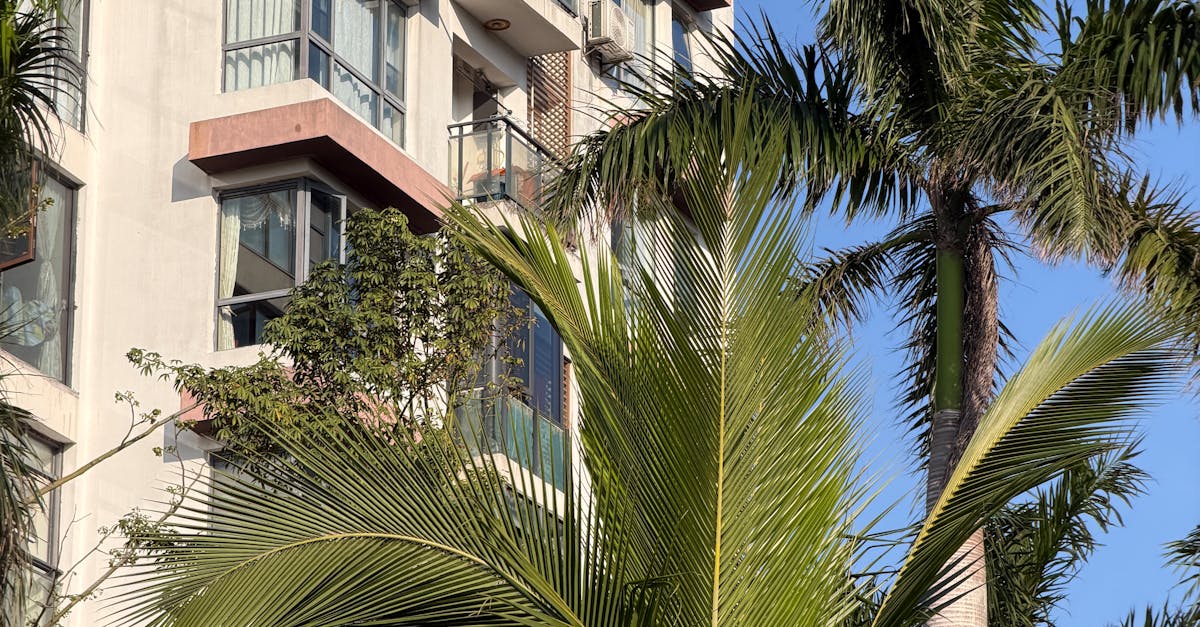 Photo by Yulia Shapereva s A modern high-rise building framed by tall palm trees under clear blue sky.