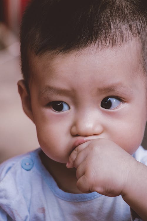 Free Close Up Photo of Young Boy Stock Photo