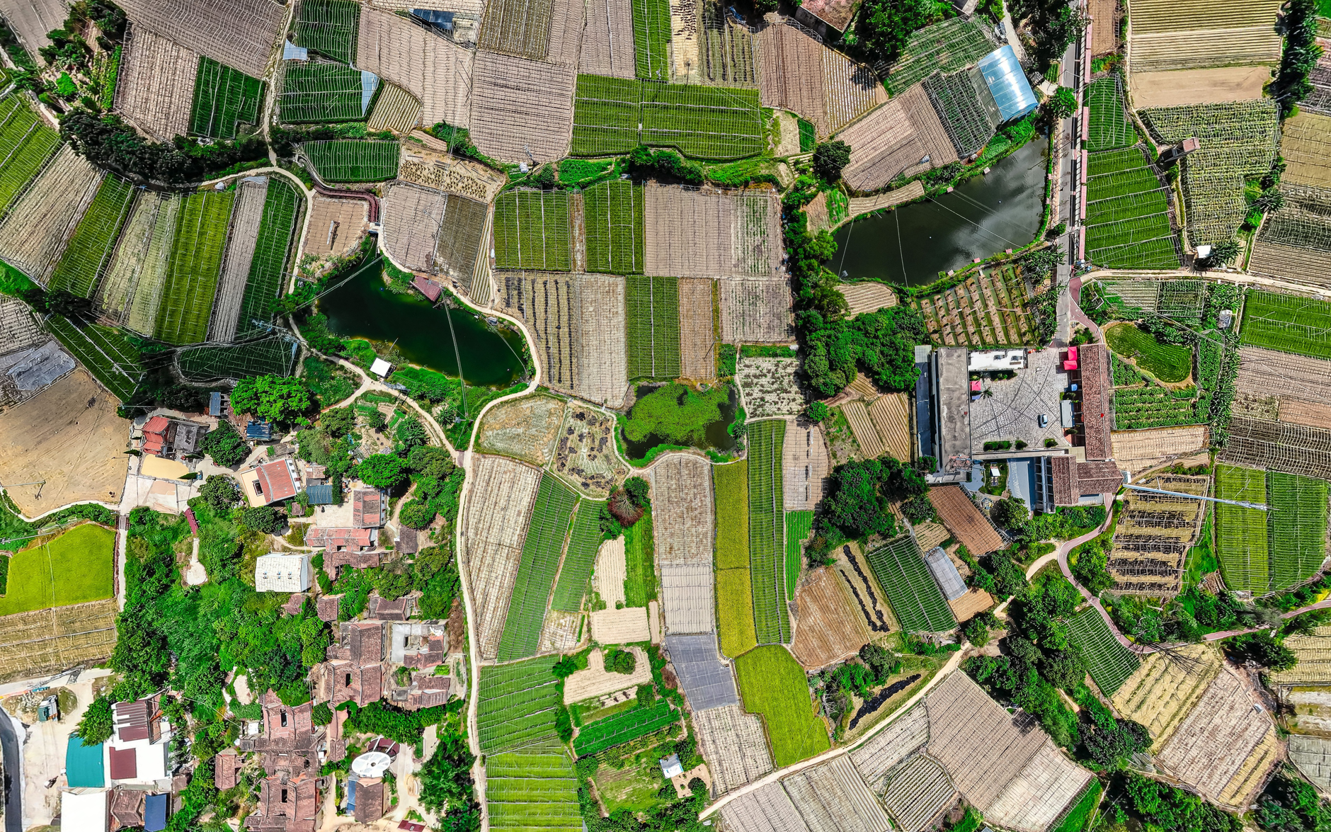 Agriculture Business Plan