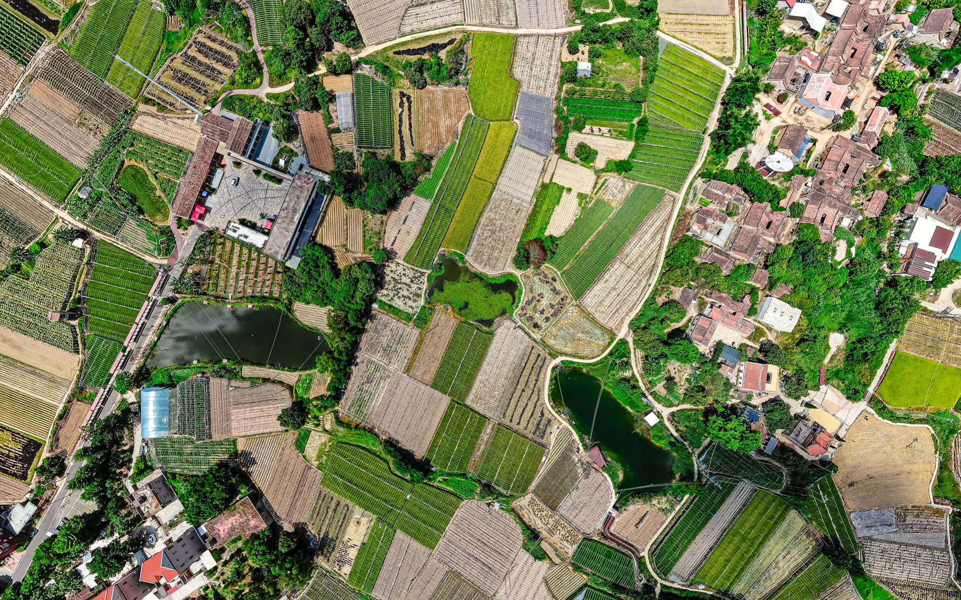 In-depth Analysis of Vegetation Cover Meters in 2026: Evaluating Laiyin Technology's Brand Strength and Market Reputation