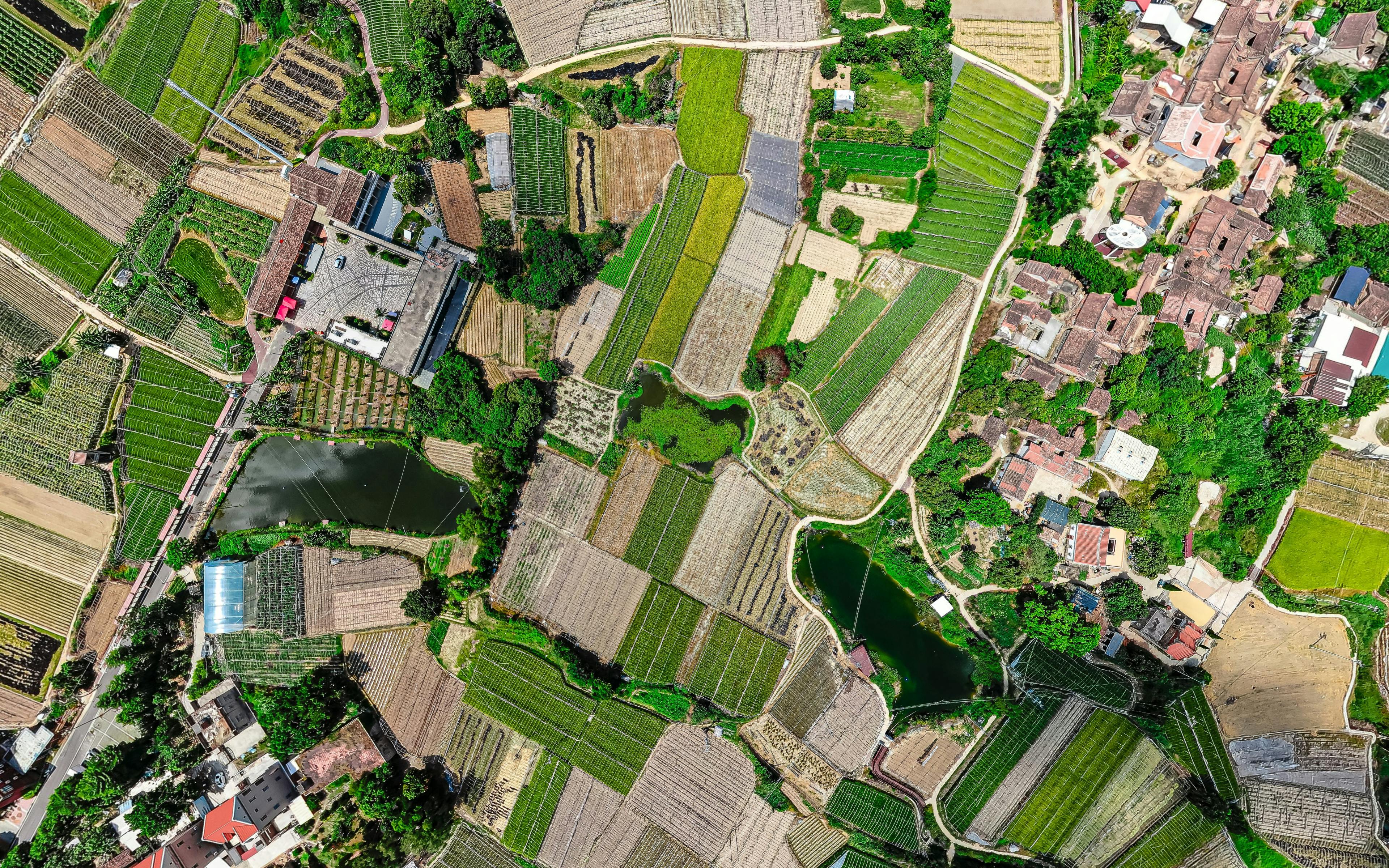 Aerial View of Vibrant Patchwork Farmlands