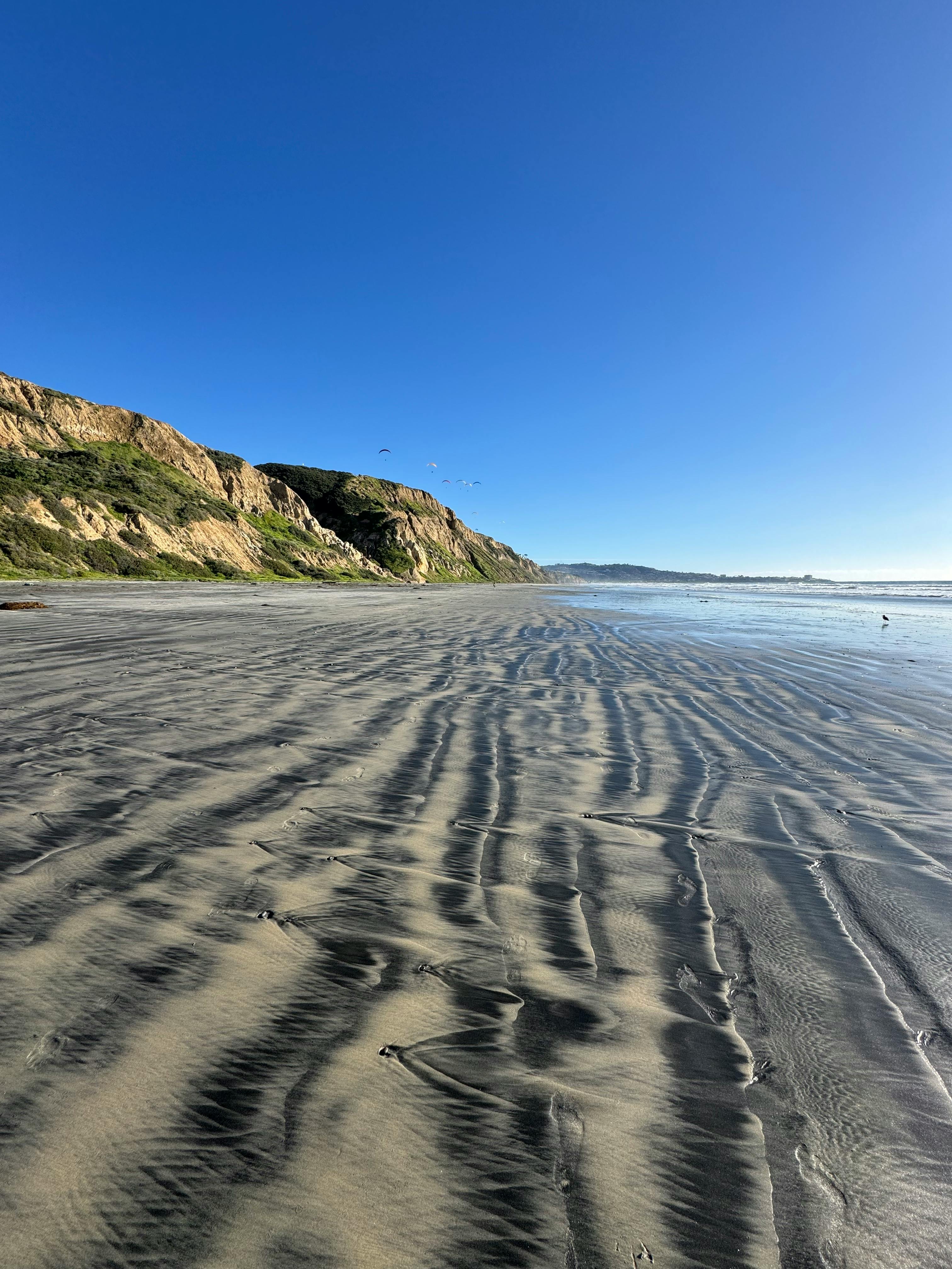 A stunning view of the sandy beach at Torrey Pines, San Diego, with clear blue skies and coastal cliffs.