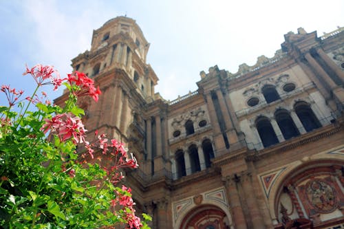 Foto d'estoc gratuïta de catedral de málaga, edifici, Església