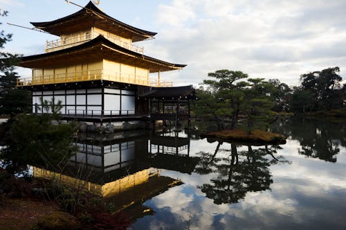 Gratuit Imagine de stoc gratuită din acasă, apă, arbore japonez Fotografie de stoc